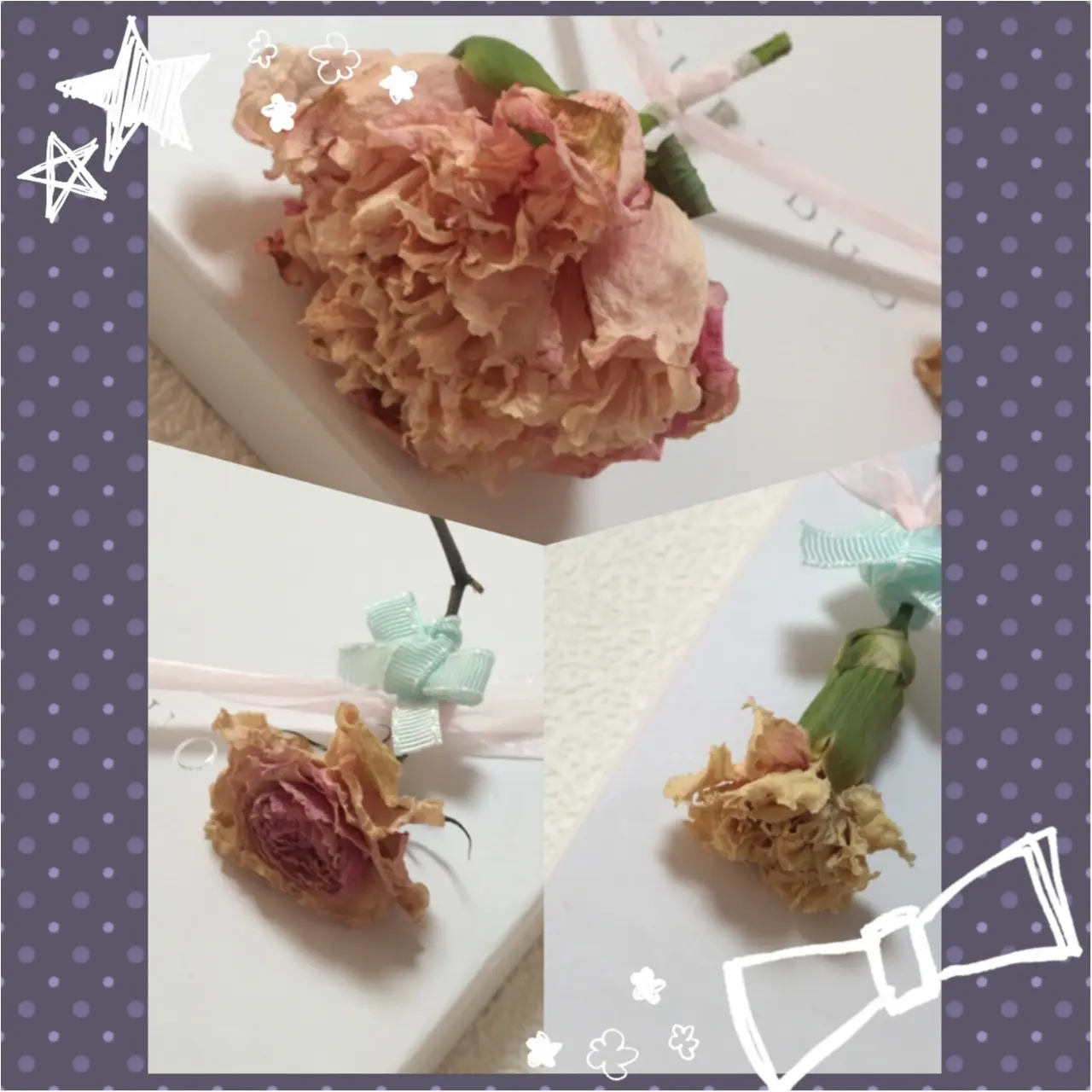 お部屋が一気に可愛くなる魔法♡簡単‼︎ドライフラワーの作り方♡_4