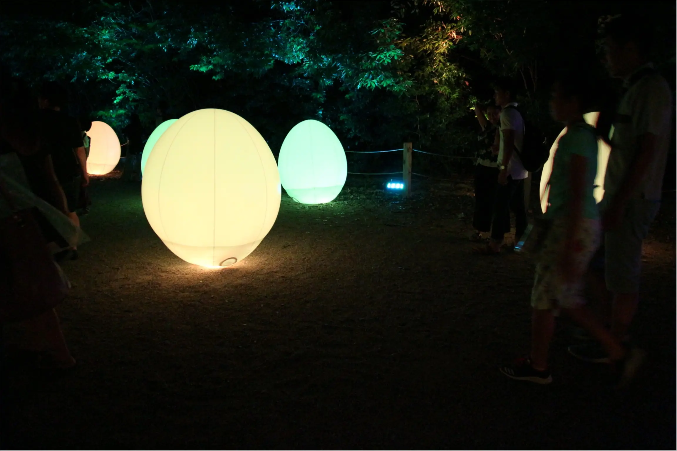 【京都】下鴨神社のライトアップで幻想的な夜を♡_4