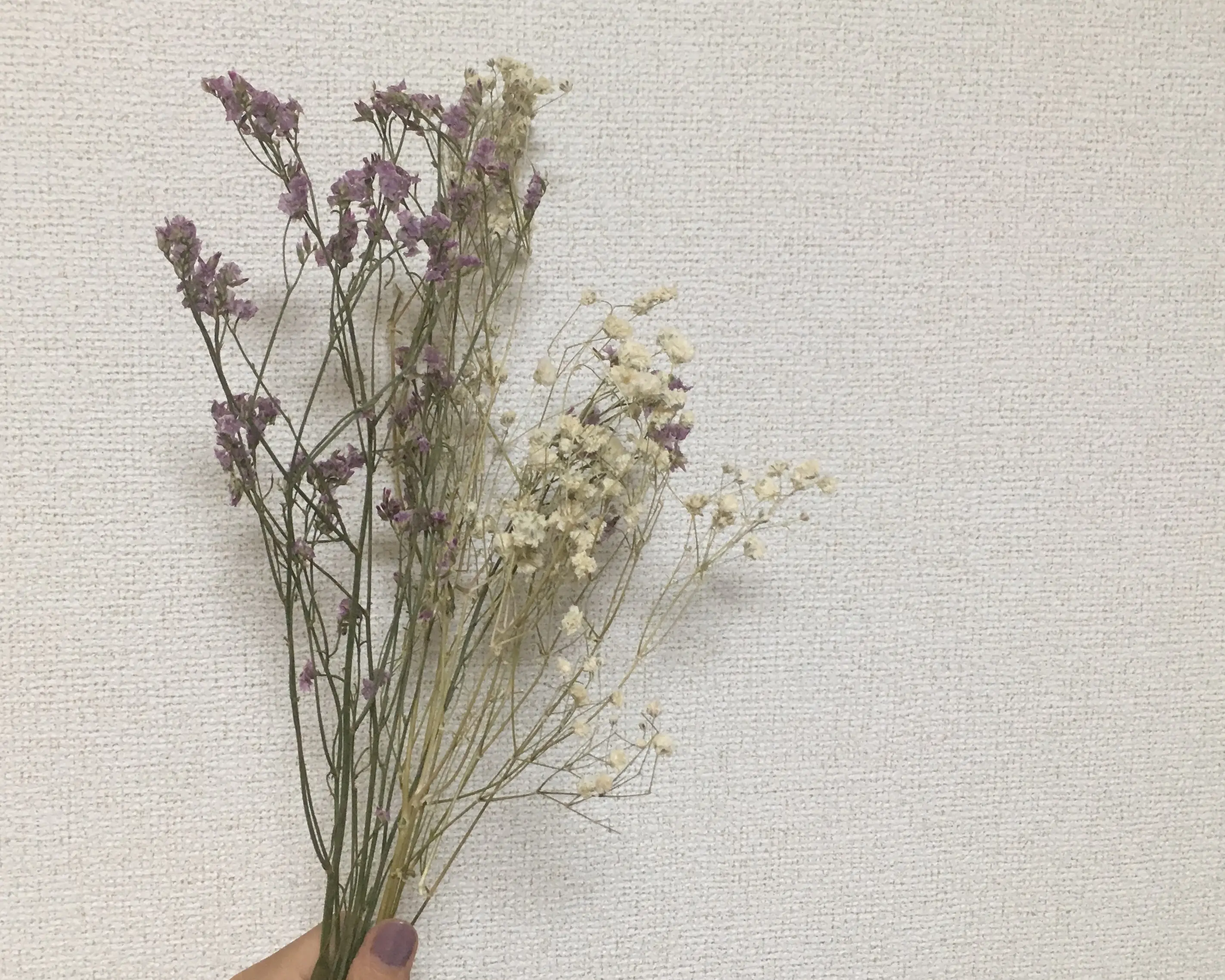 お部屋を彩る《ドライフラワー》¥100で手に入るのはここ♡_2