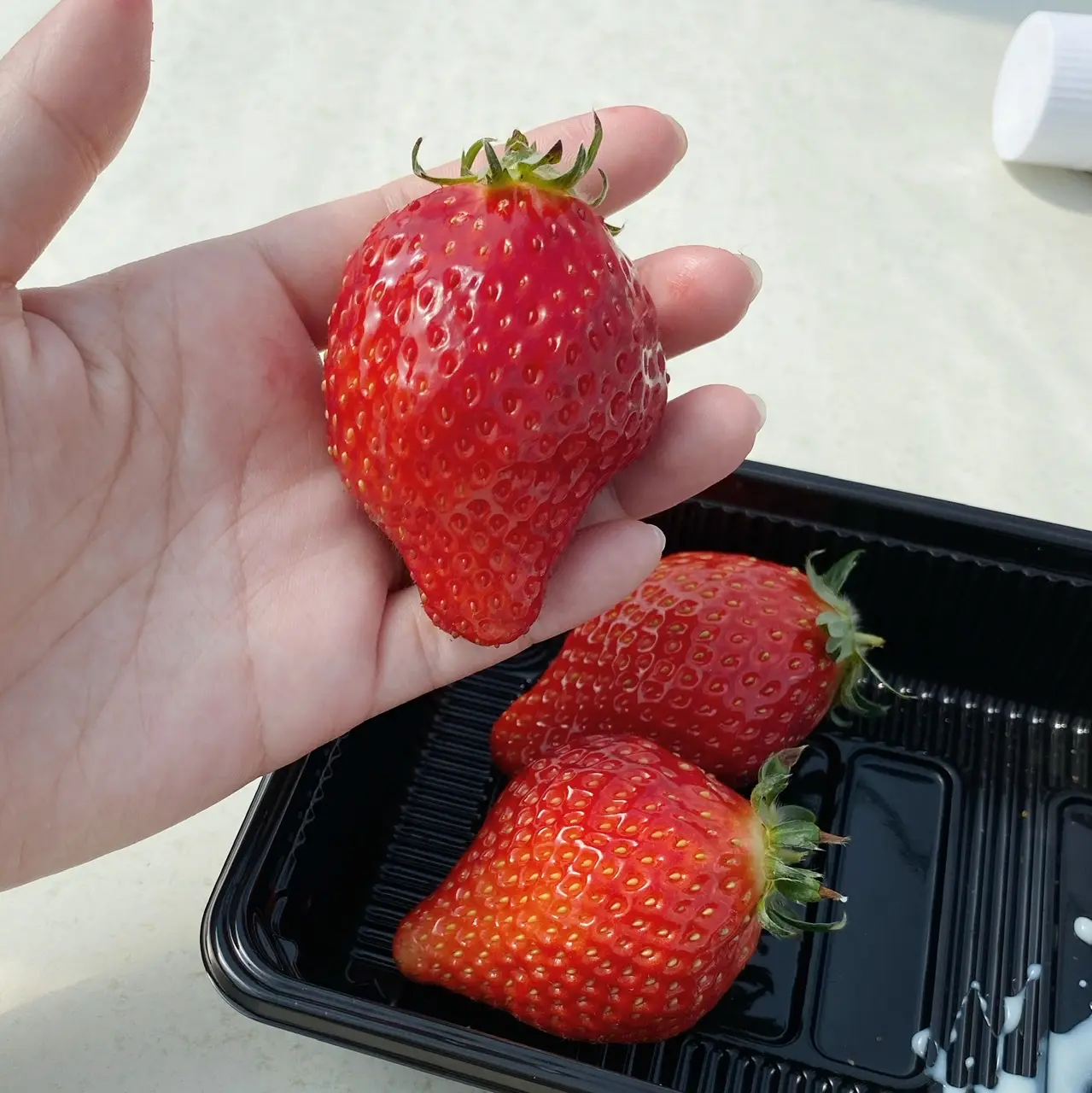 【おすすめいちごスイーツ】関東圏内のいちご狩りで春の贅沢食べ放題_5