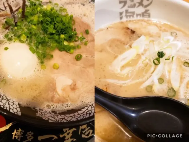【女子旅におすすめ】福岡・博多で食べつくす!絶対満足グルメ旅♪_4