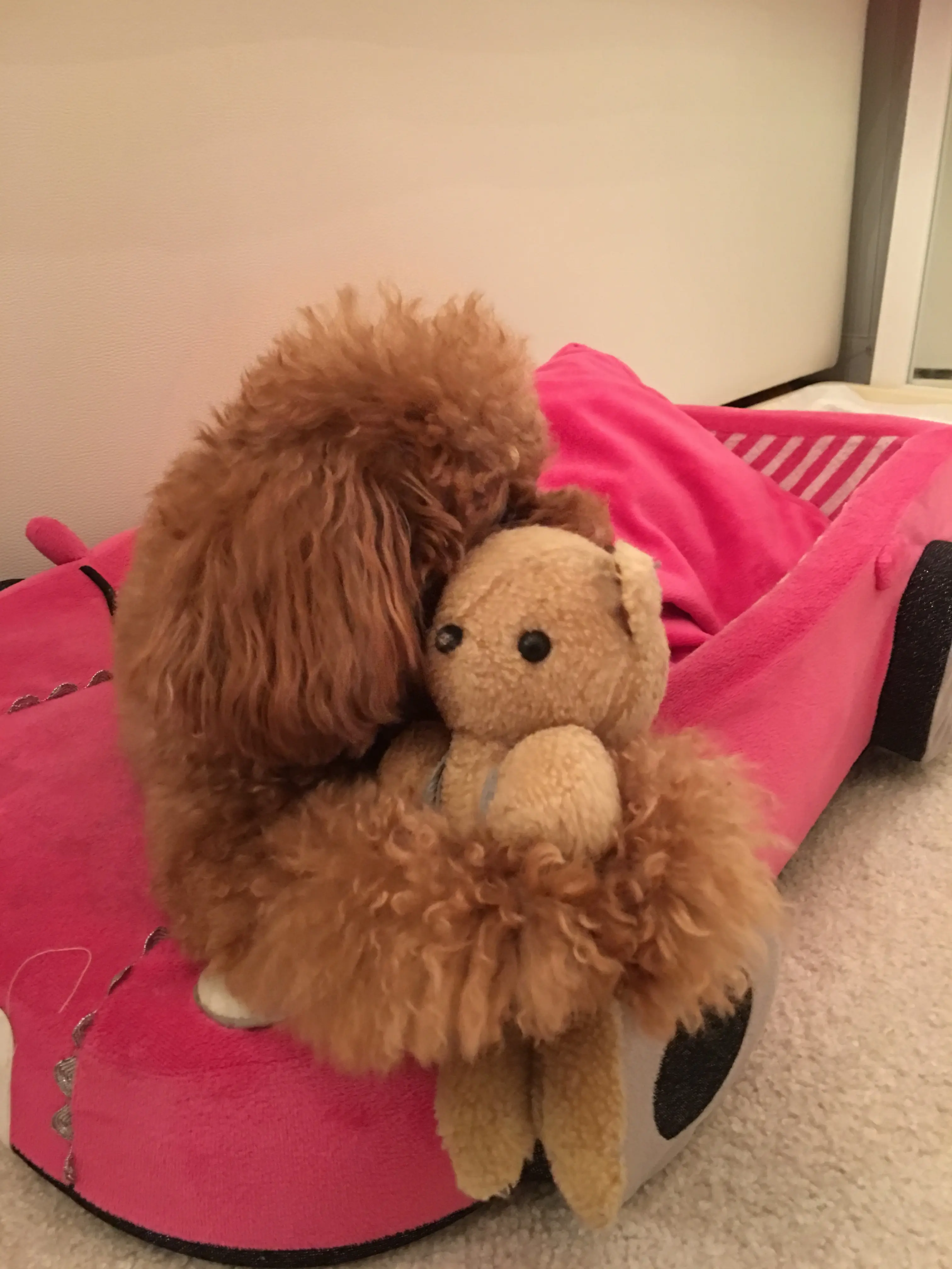 ♡ほのぼの癒しのまるこ♡モアハピ◡̈のぞみ♡_2