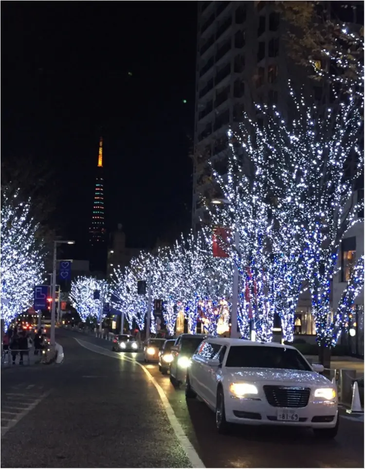 ♡25日クリスマスあなたはどこへ行く?都内のおすすめイルミネーション・クリスマスマーケット♡_6