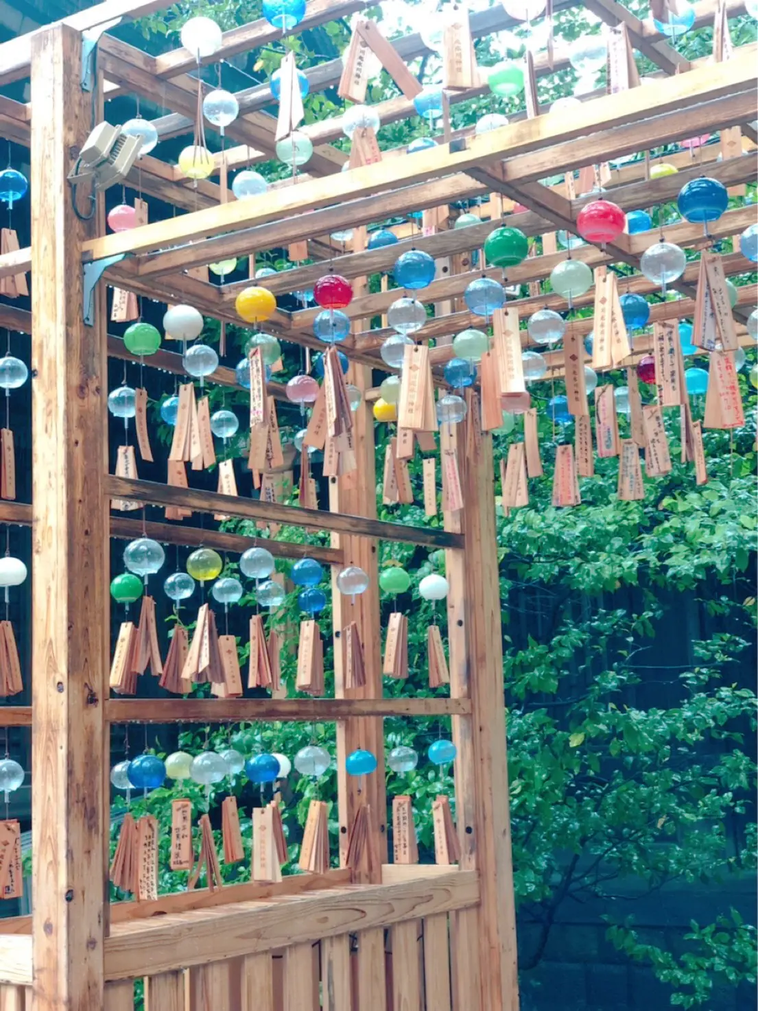 埼玉女子旅で人気の「川越氷川神社」と「ムーミンバレーパーク」へ♪ 【 #TOKYOPANDA のご当地モア・埼玉県編】_2