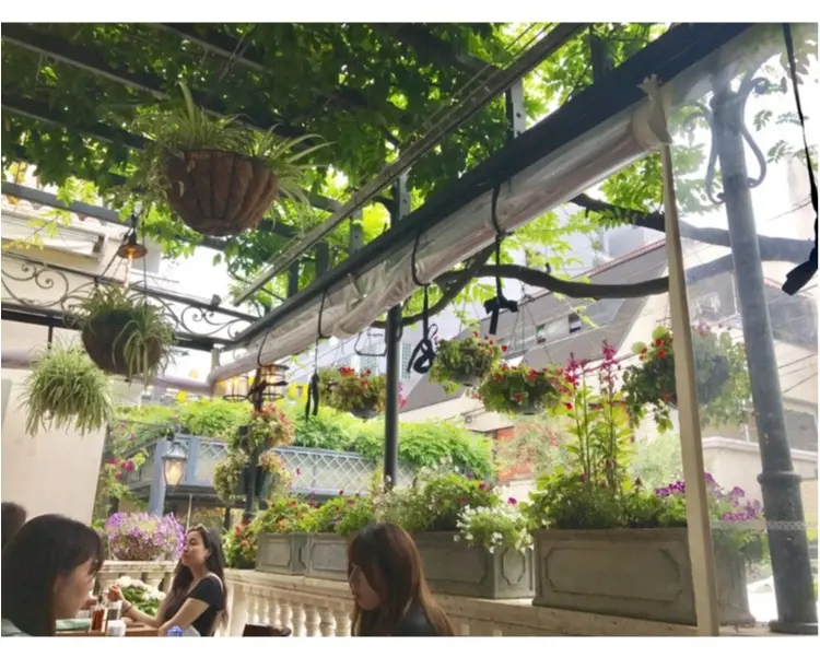 【FOOD】華のある女子会に⋈お花に囲まれイタリアン 表参道bamboo が素敵♡_3