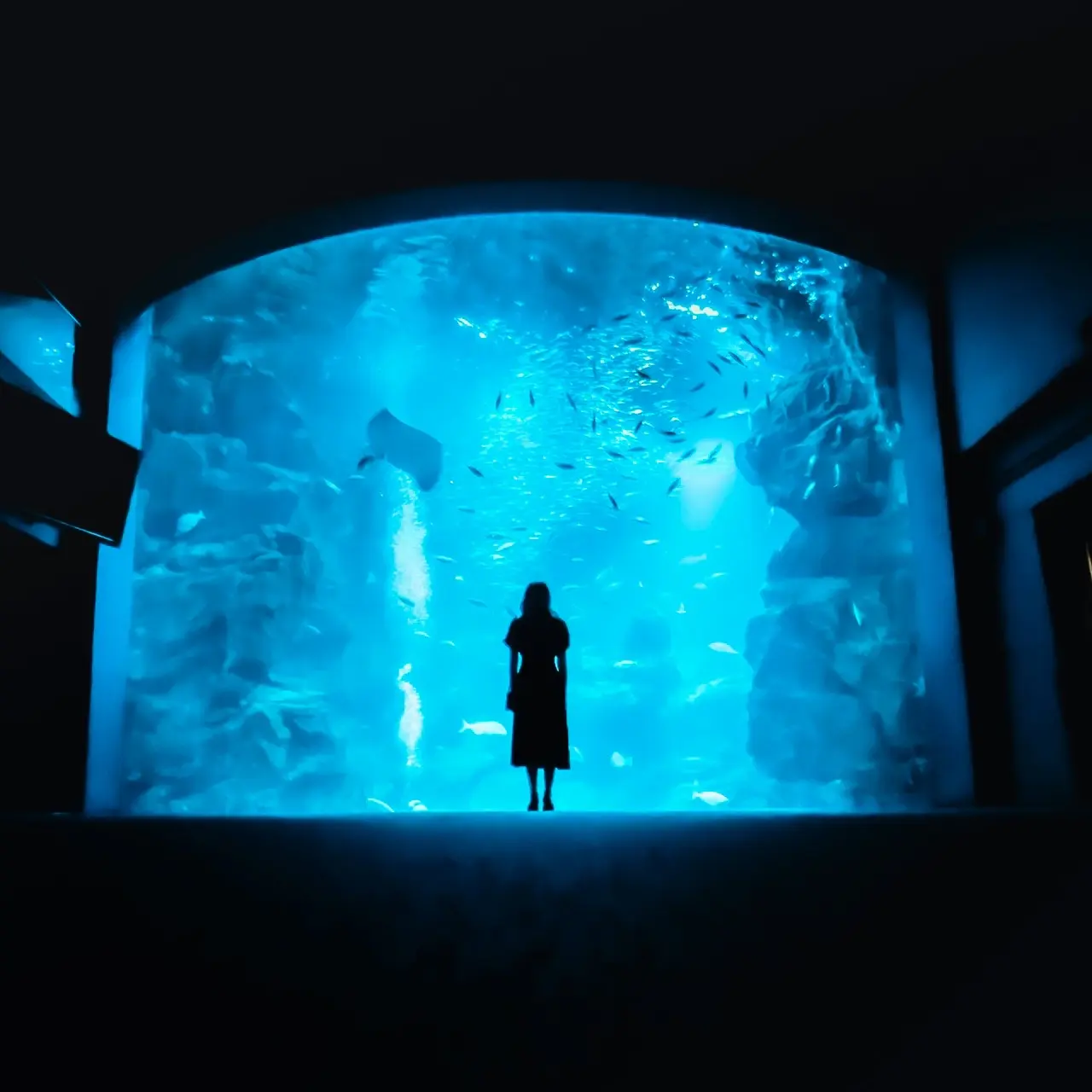 【夏休み】京都水族館_3