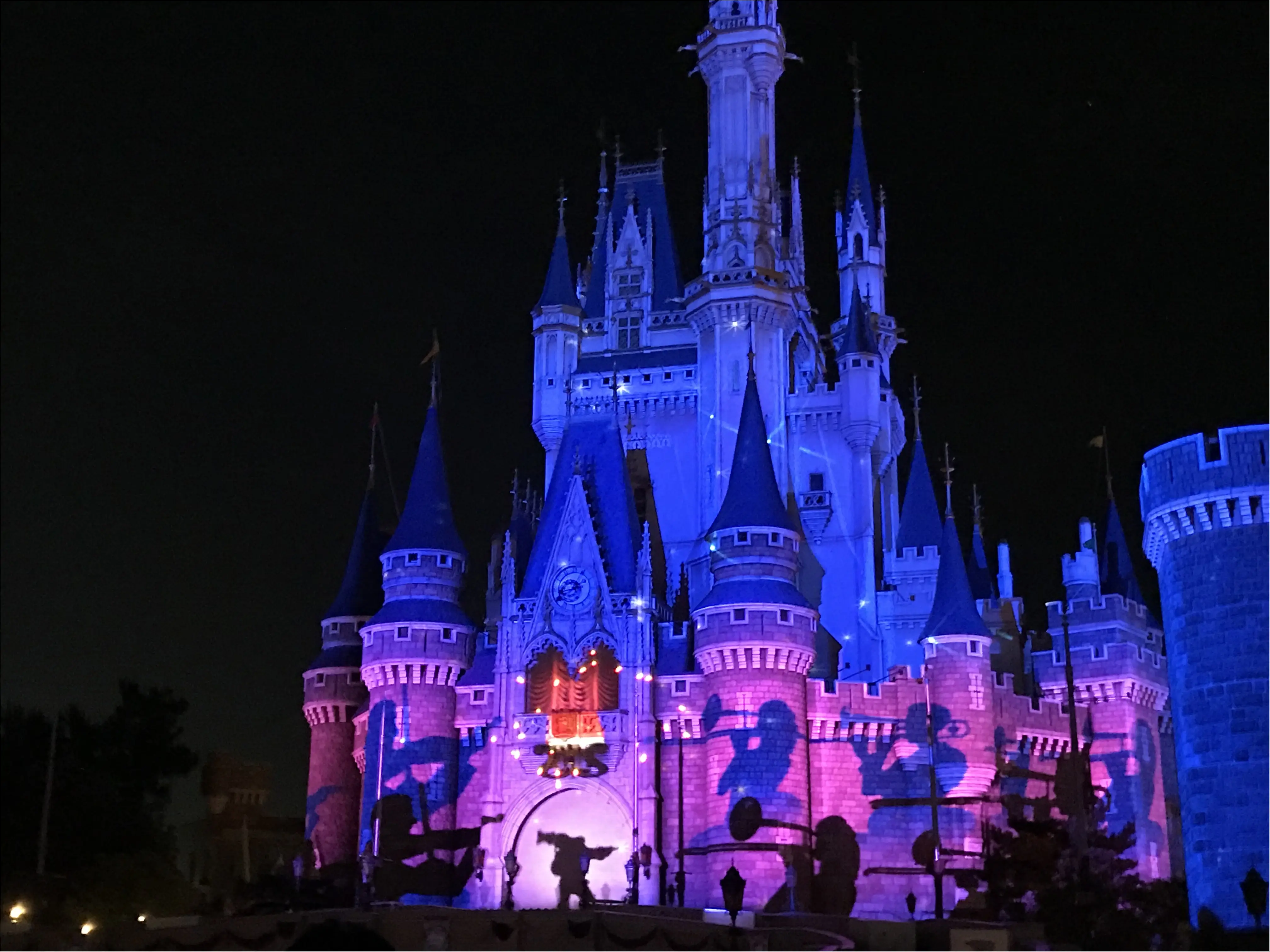 【超話題!】東京ディズニーランドのナイトタイムスぺクタキュラー_1