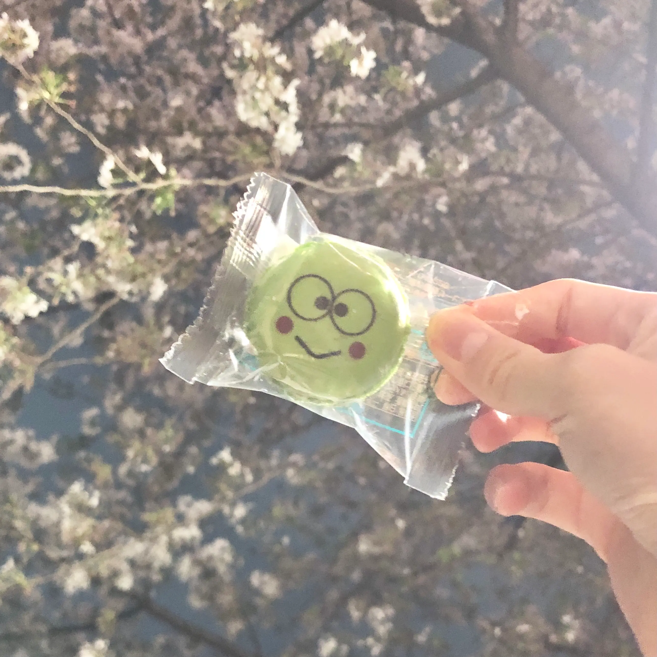 【おすすめ抹茶スイーツ】緊急事態宣言明けのピクニックの手土産はこれで決定!喜ばれること間違いなし、サンリオマカロン♡_3