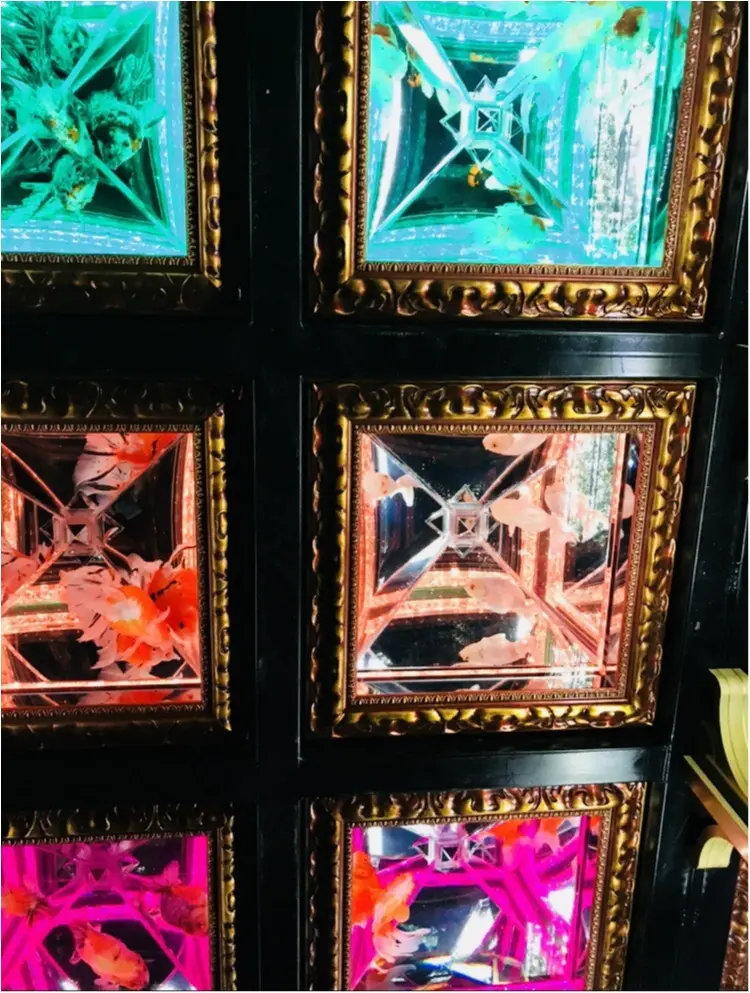 夏の風物詩 金魚のアートアクアリウム【日本橋】_1