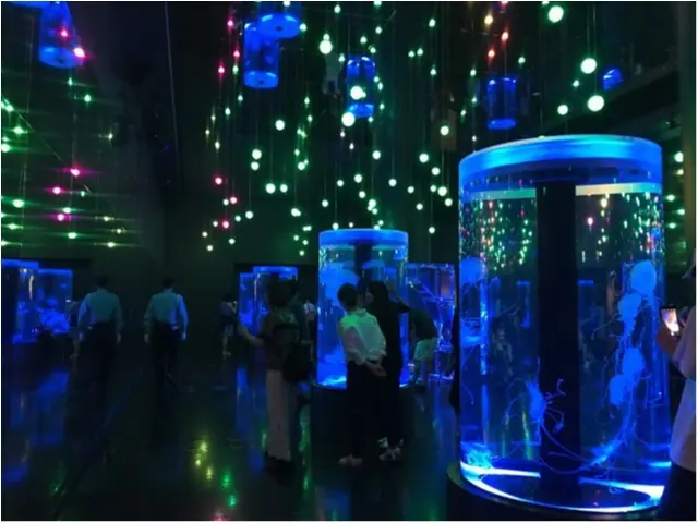 【アクアパーク品川】音・光・映像のエンターテイメント水族館!_1