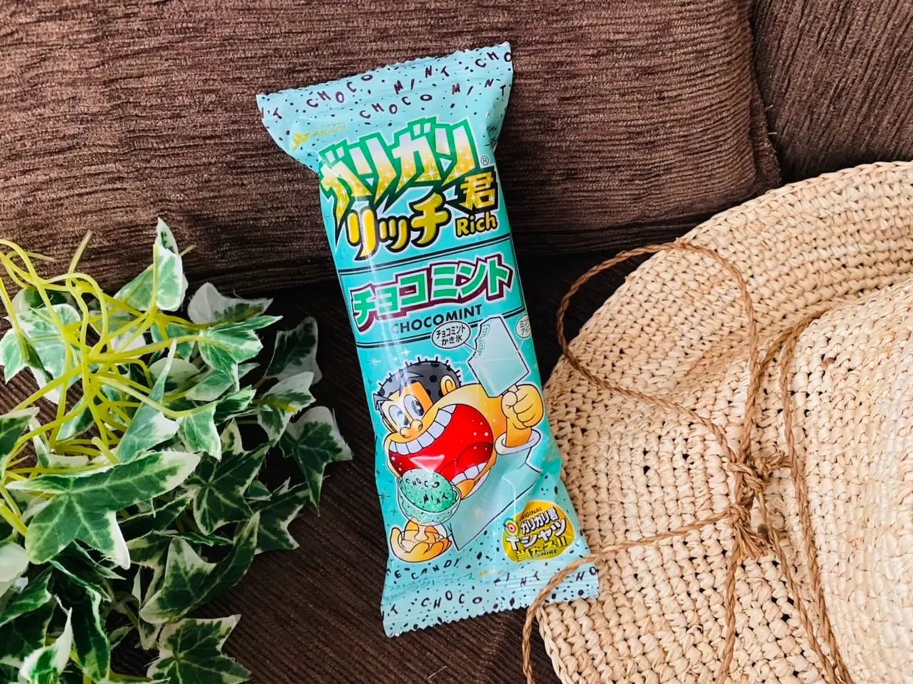 【おすすめアイス】チョコミン党に朗報!今年も《ガリガリ君 リッチチョコミント》が登場★_1