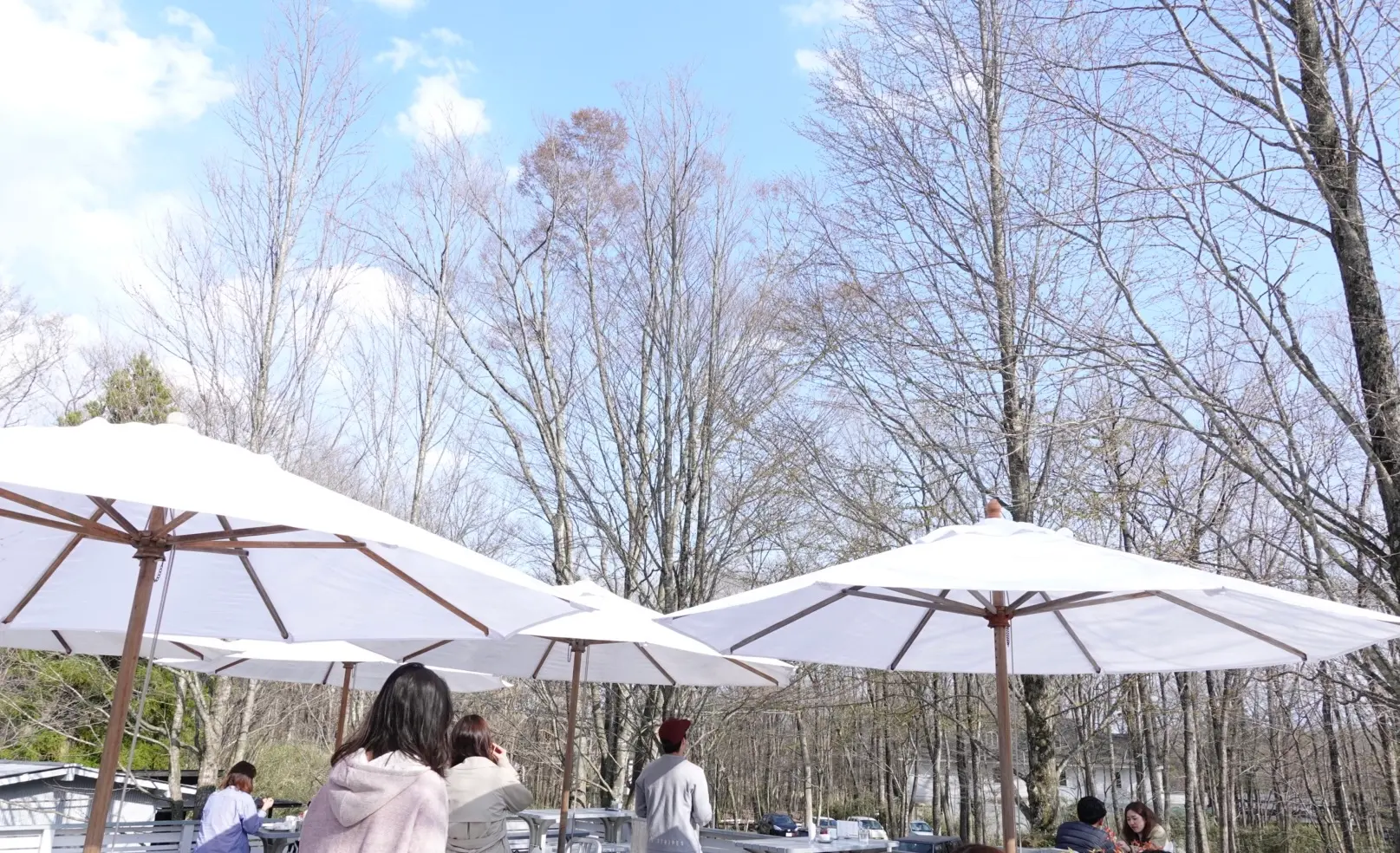 【栃木】那須にある愛犬も連れていける開放感のあるカフェ!「NASU SHOZO CAFE」コーヒーやスコーンが絶品★_2