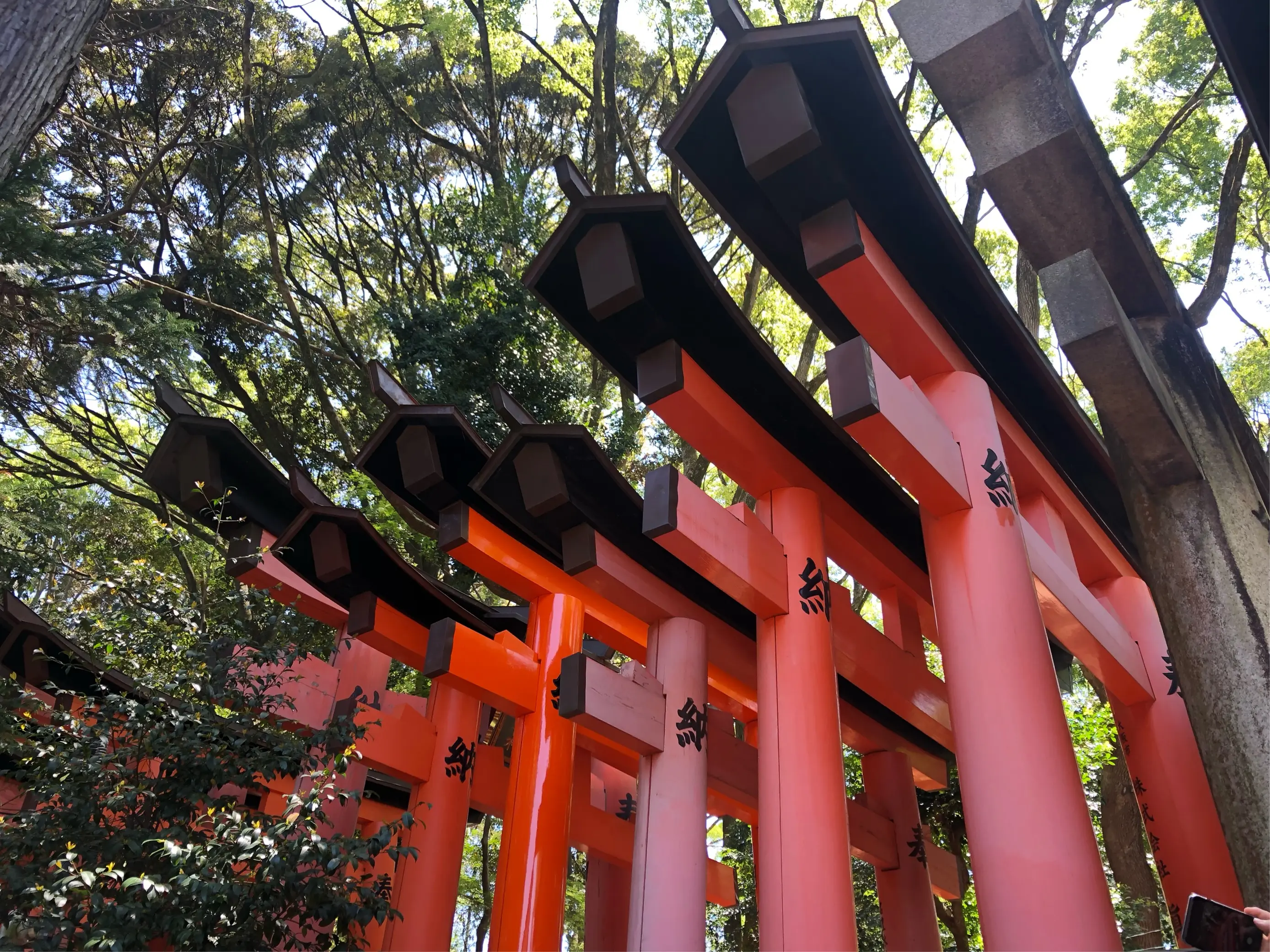 「〜京都旅行〜着物巡り❤︎」こちらのお店でレンタルしました!あの有名なフォトスポットも♡_5