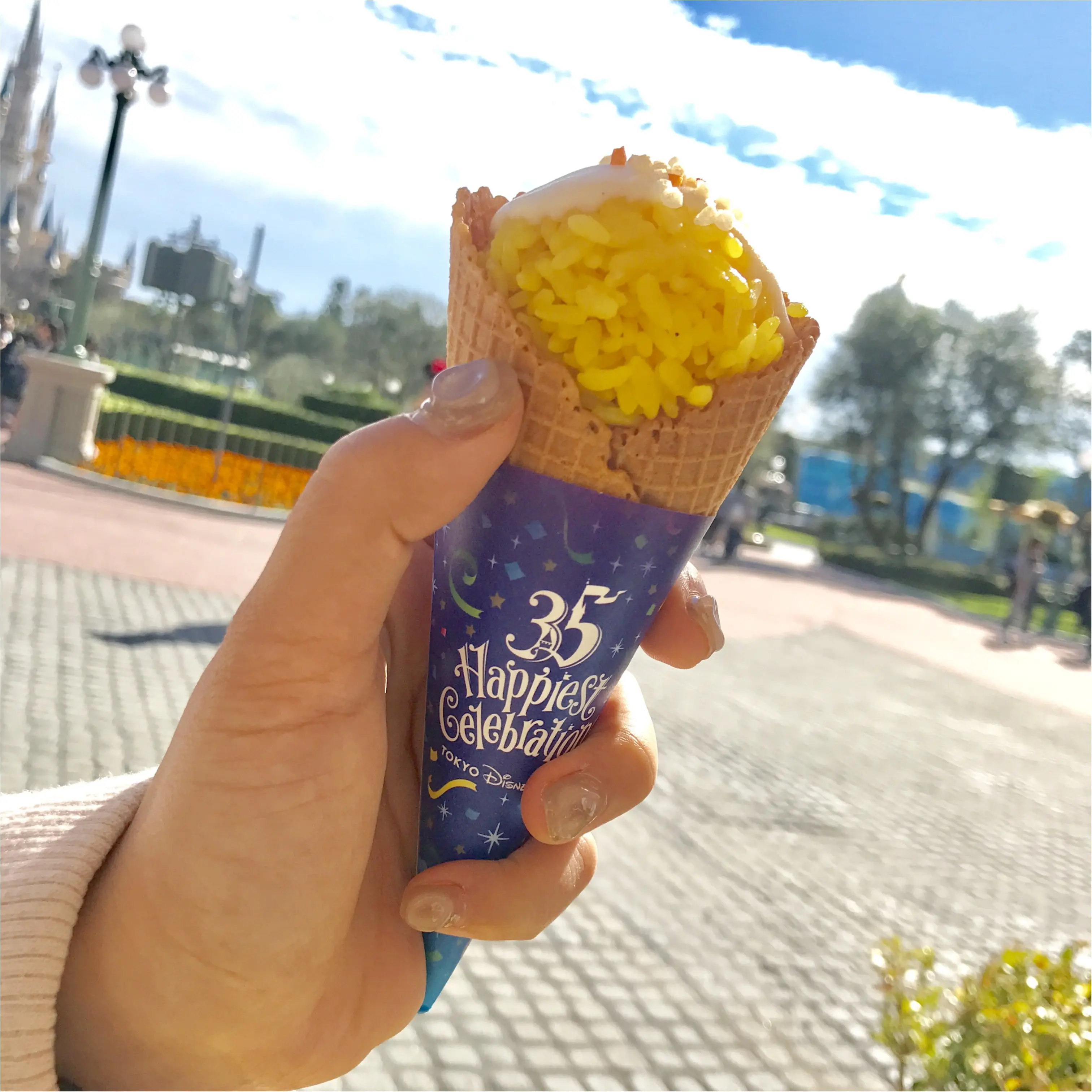 【Disney Land Xmas!】35周年&クリスマスシーズンの食べ歩きフード_1