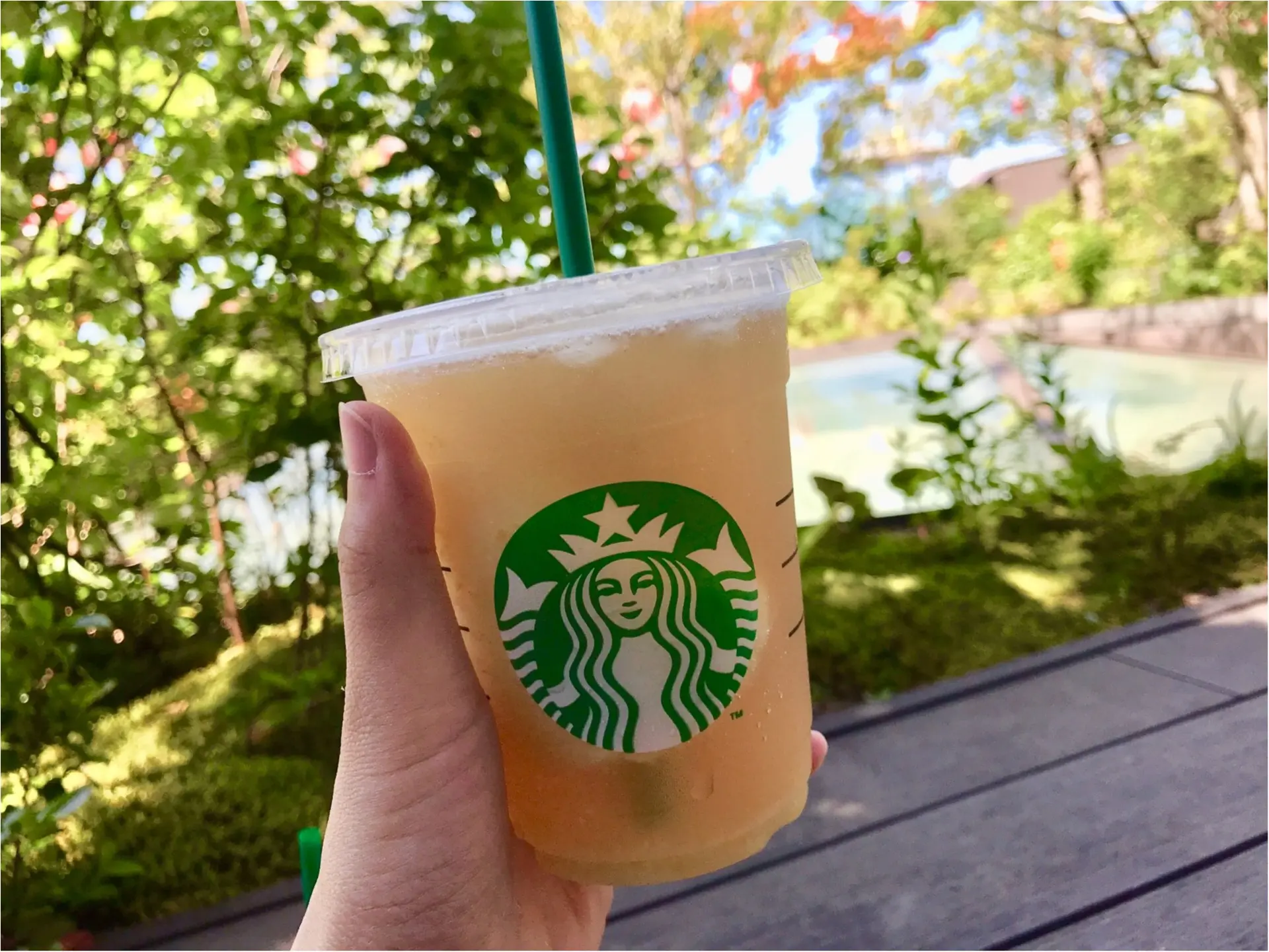 スタバ,スターバックス,新作,メニュー