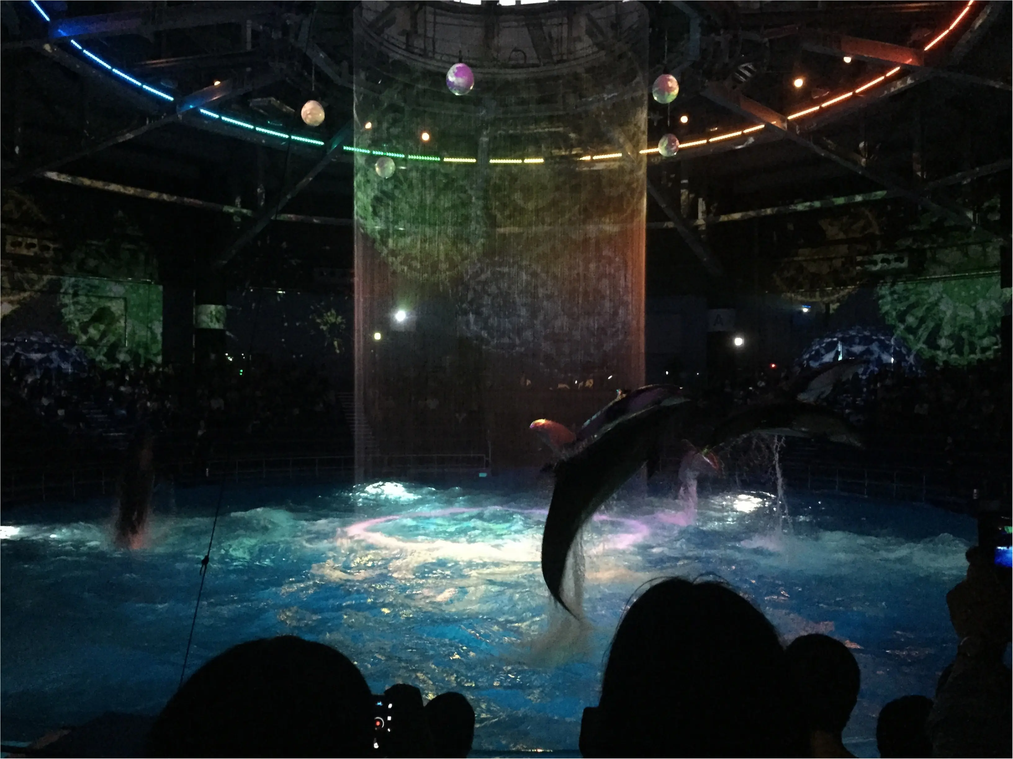 昼と夜でイルカショーが変わる!?光・音・映像と海の生き物のコラボレーション ✨《*アクアパーク品川*》の魅力☆★ _20