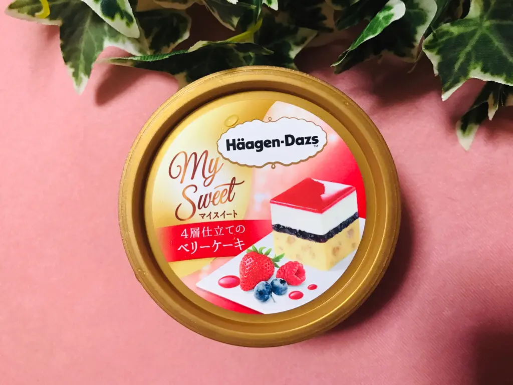 【ハーゲンダッツ】平成最後の新作は超豪華!まるでケーキな《4層仕立てのベリーケーキ》♡_1