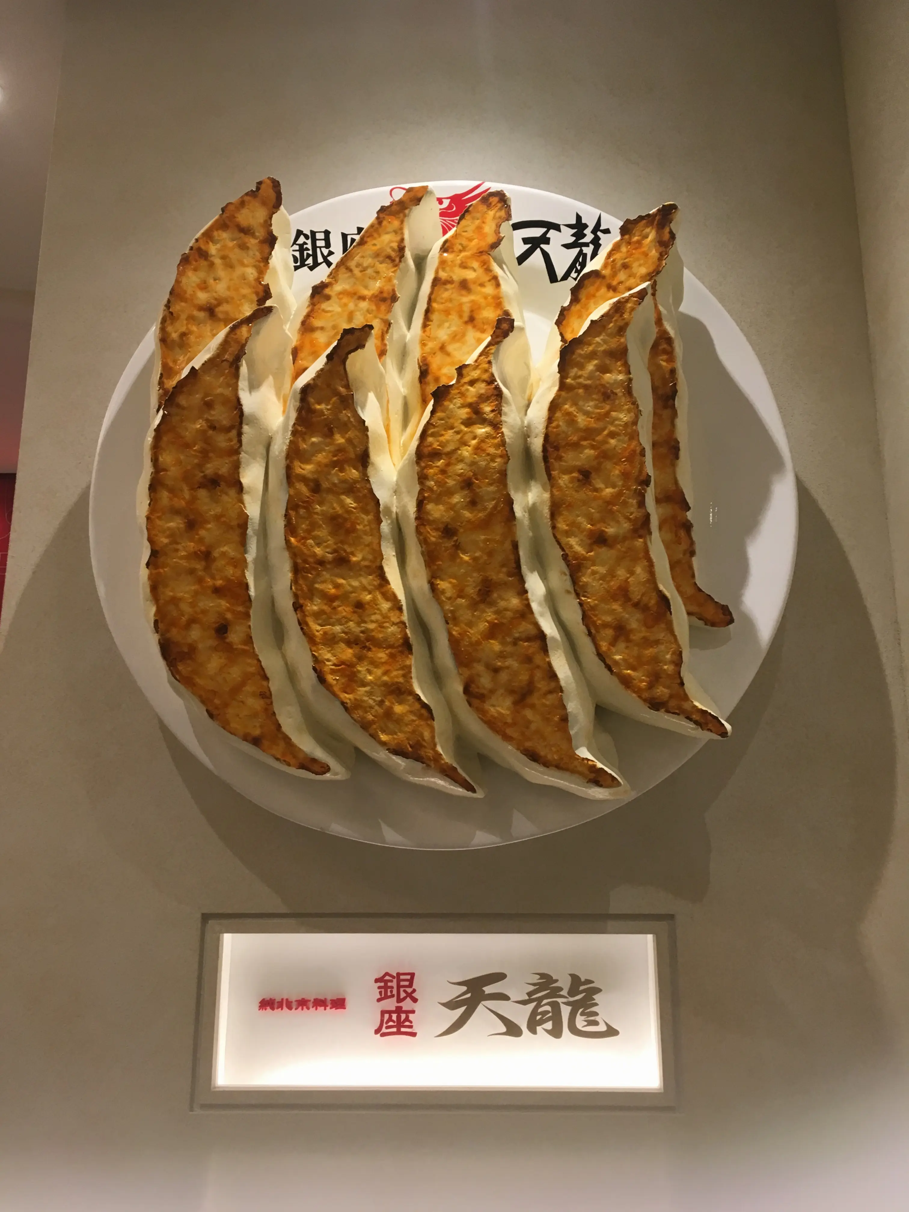 女性に嬉しい!!!におわない外はパリパリ!中はじゅわーの絶品餃子はなんと40分も餡を練っている!!?銀座★天龍★_1