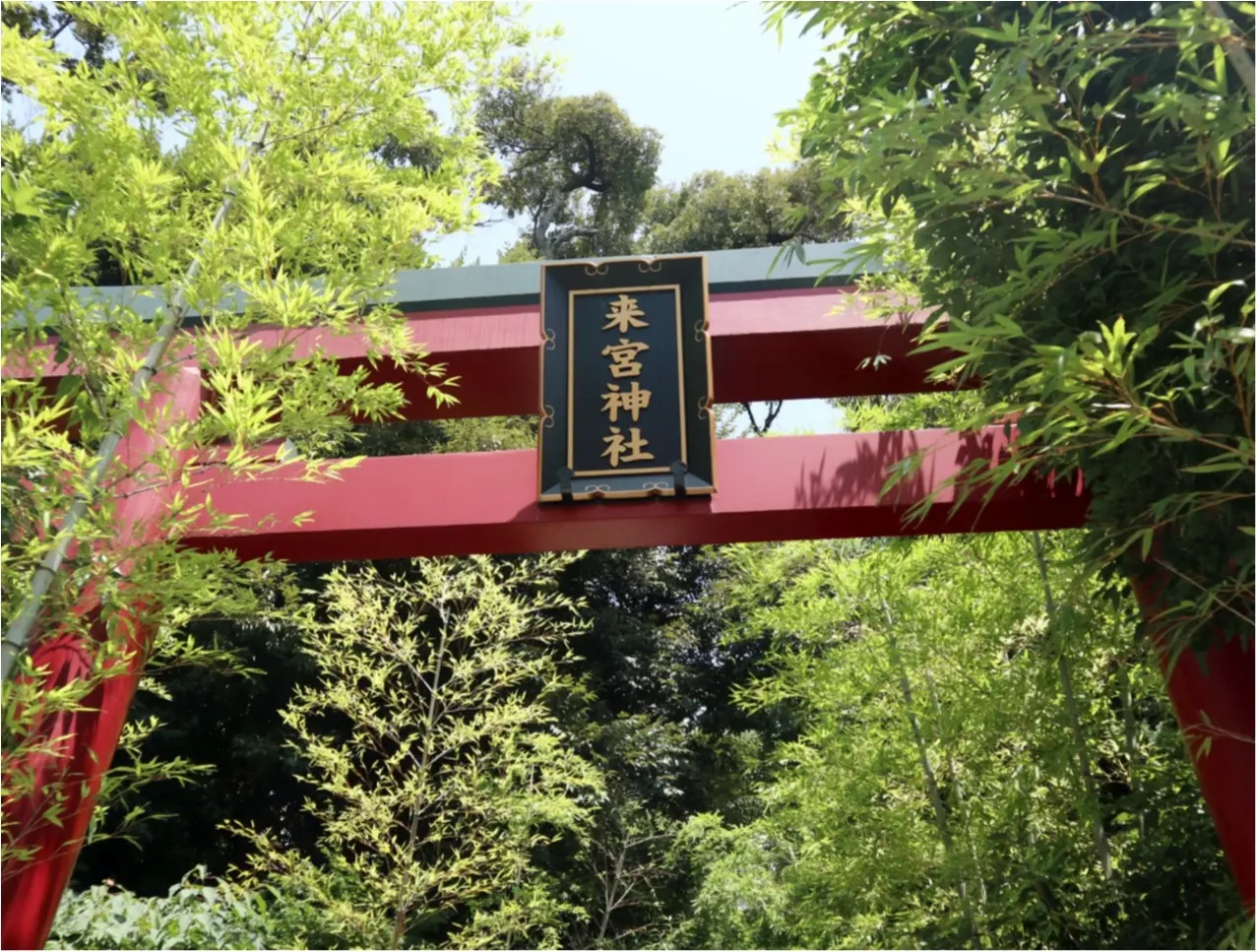 フォトジェニックなパワースポット 来宮神社 で縁結び祈願 Moreインフルエンサーズブログ Daily More