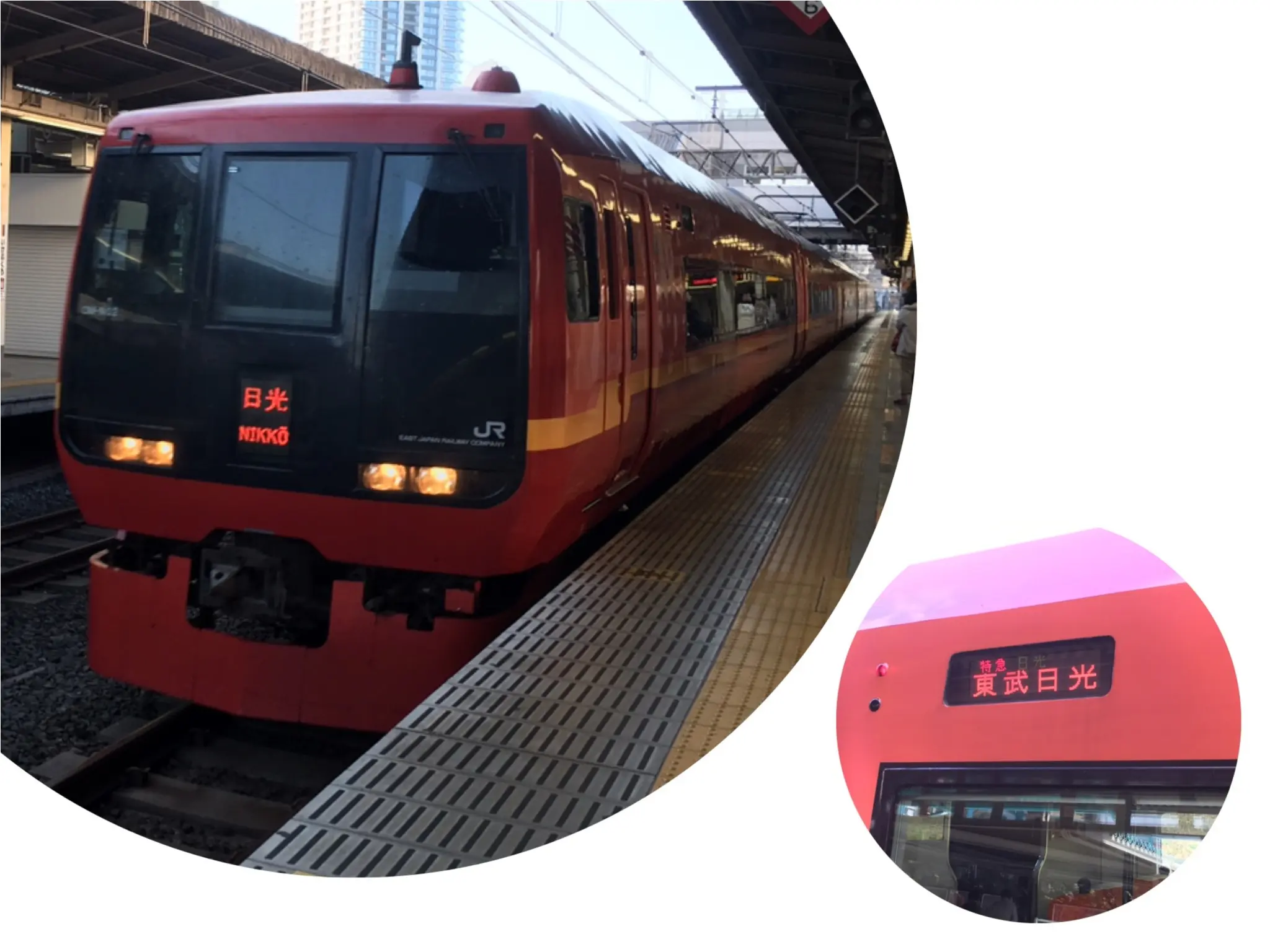 紅葉を見るならここに行くべし❤︎❢日帰り旅行ができちゃう♡絶景紅葉スポット♥◯◯に行ってきました♡ʾʾ_2
