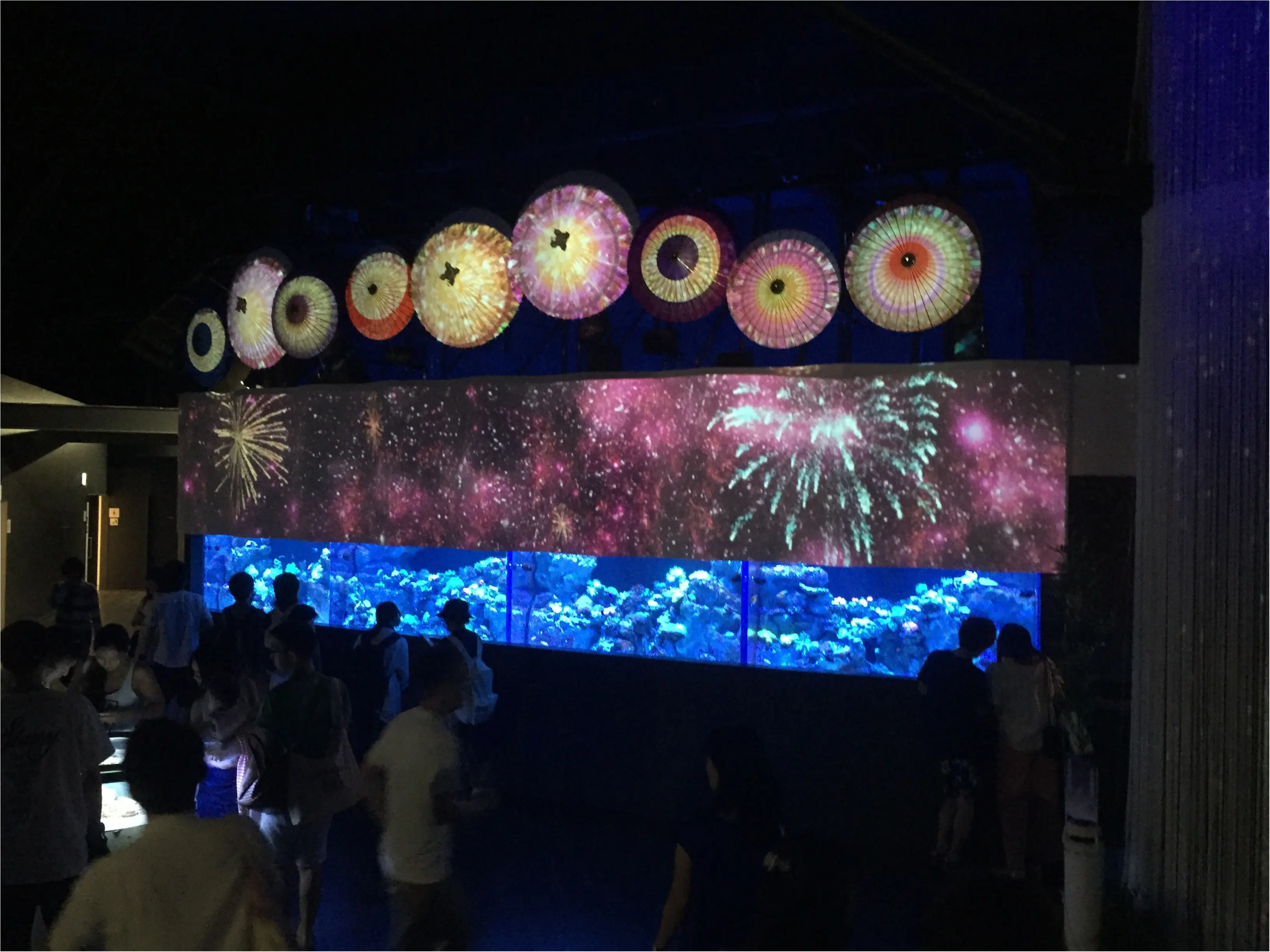 昼と夜でイルカショーが変わる!?光・音・映像と海の生き物のコラボレーション ✨《*アクアパーク品川*》の魅力☆★ _8