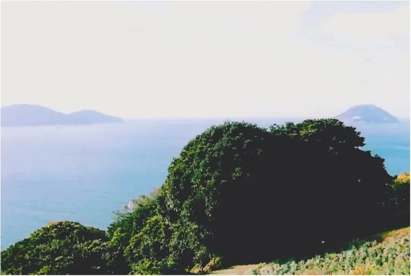 【*日本を知るシリーズ*】〜福岡編〜都心からすぐ!のどかな離島での癒しな旅♪_6