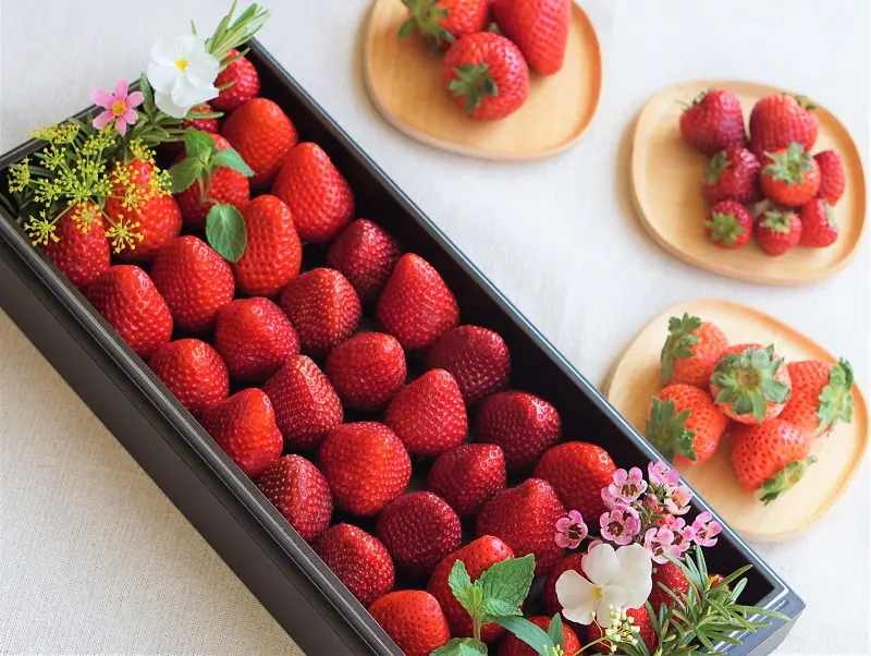 『星野リゾート　リゾナーレ那須』の「イチゴフルステイ」。いちごセラーのイメージ。