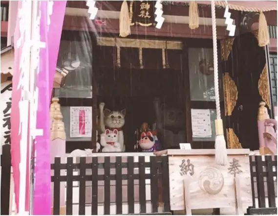 夏が来る前に いま話題の縁結びスポット 浅草の今戸神社で の待ち受けをゲットして恋愛運up Moreインフルエンサーズブログ Daily More