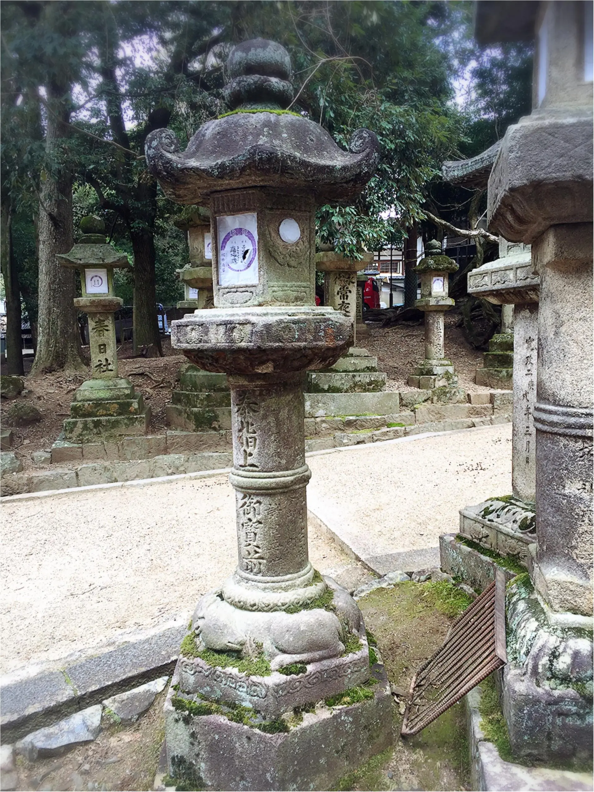 京都&奈良、1泊2日の新発見ツアー_4