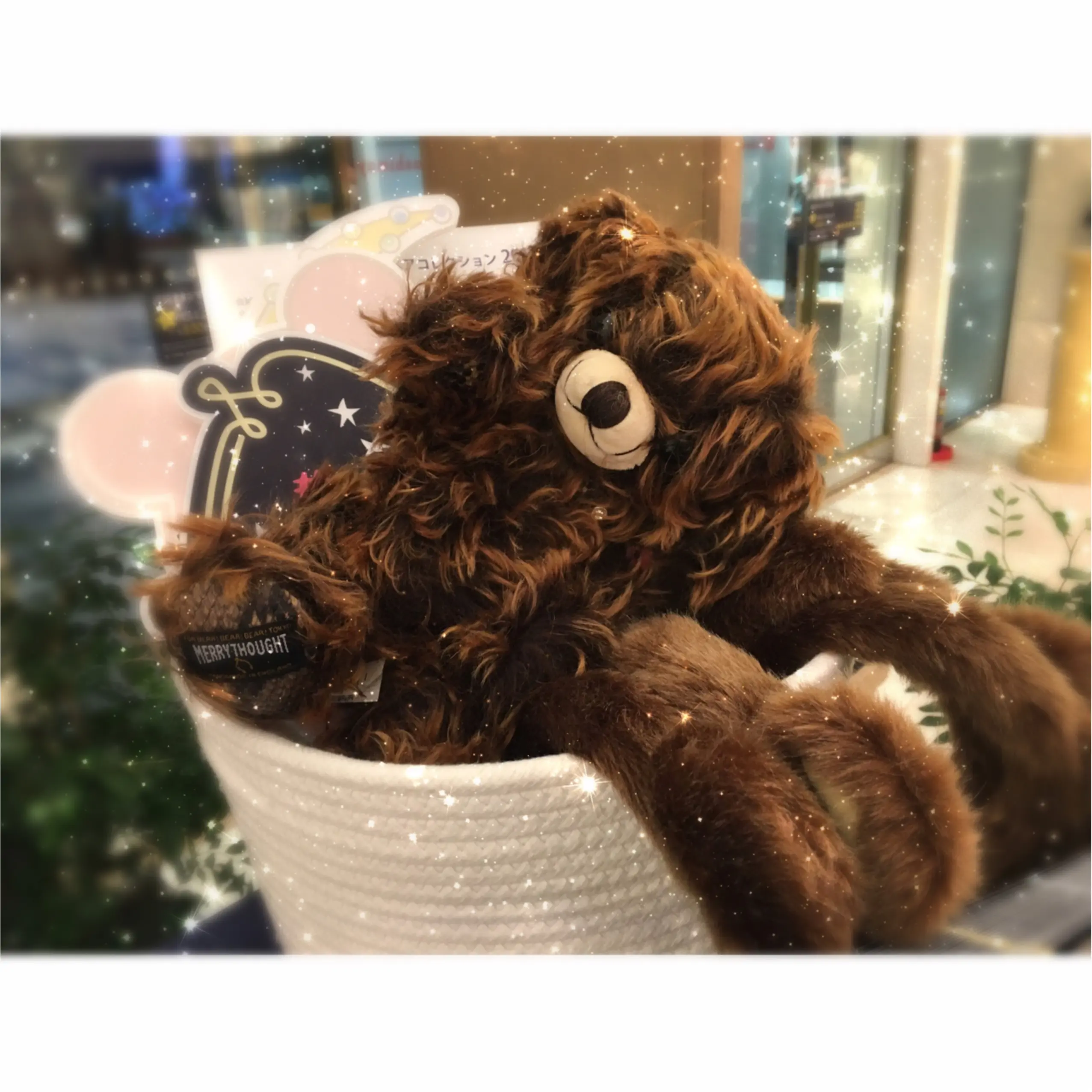 ▷【「夜空に輝く夢のテディランド」が新宿高島屋に登場✨】_3