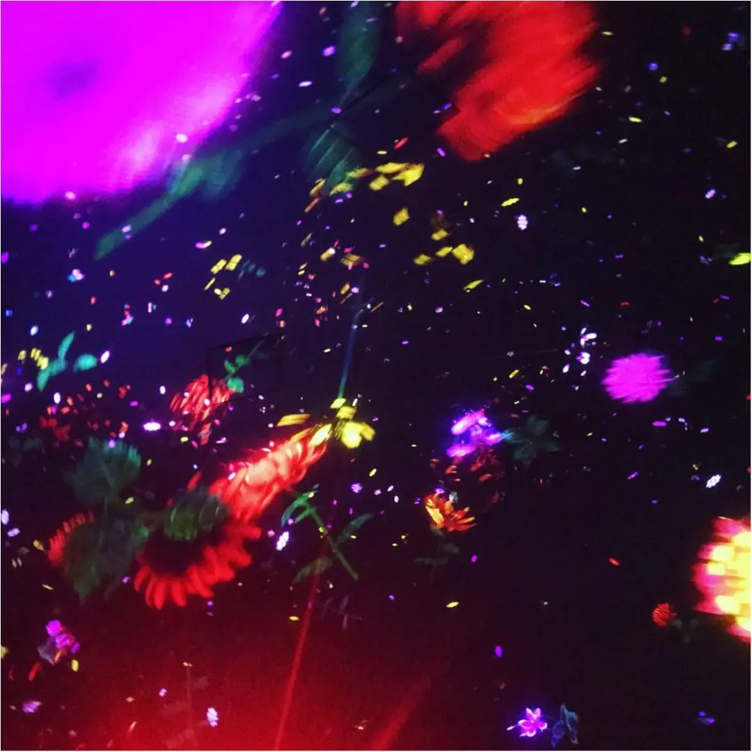 【豊洲】話題の体験型アート☆チームラボ プラネッツ に行ってきました_2