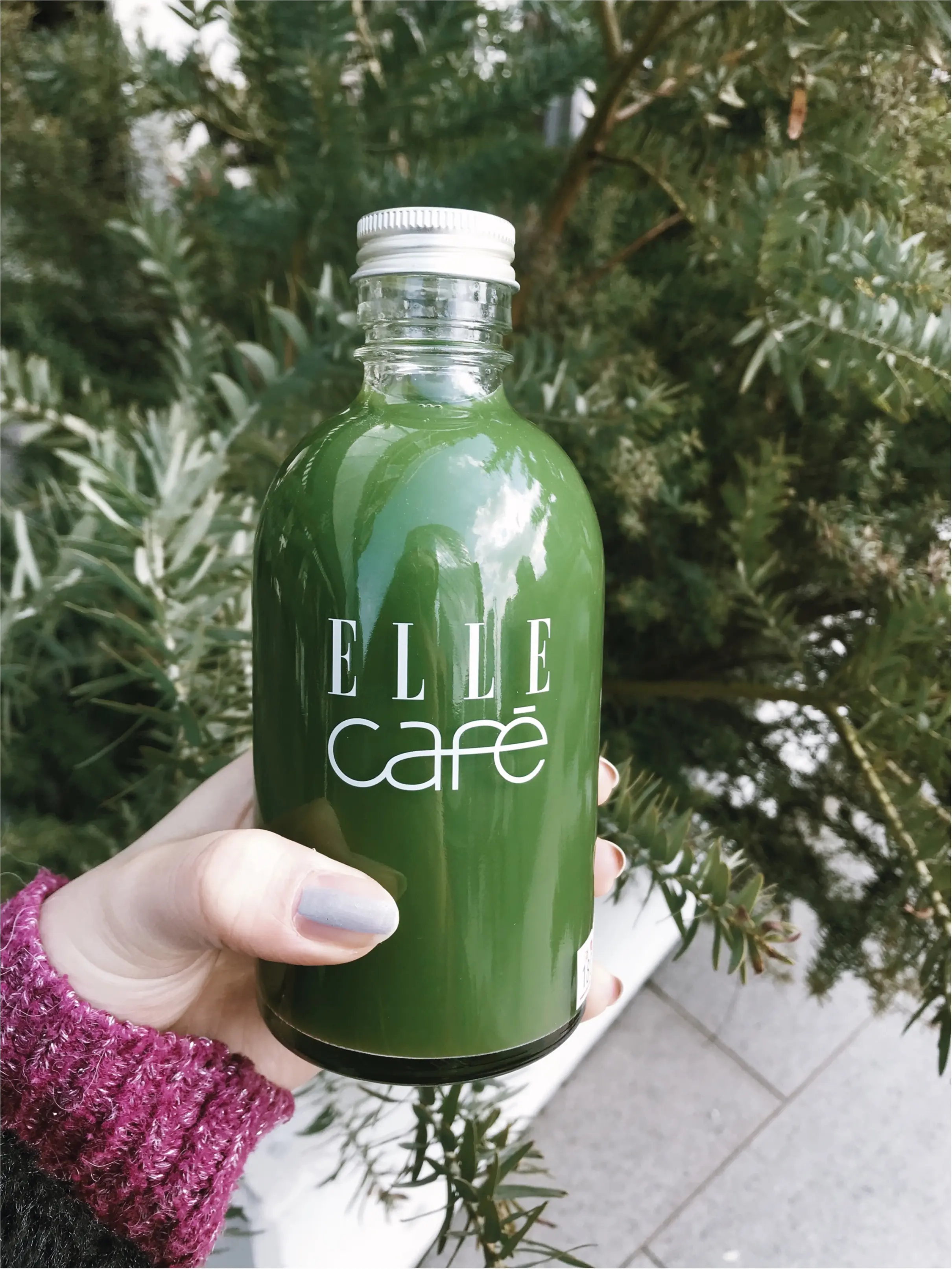【内側から美しく】ELLE CAFEで話題スムージーボンボンではなく!カラダに良いアレを買ってきました✩_4