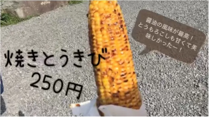 【初動画で紹介!】まるでジブリの世界!晴れた『阿蘇』の絶景を観てください!【#モアチャレ 熊本の魅力発信!】 _7