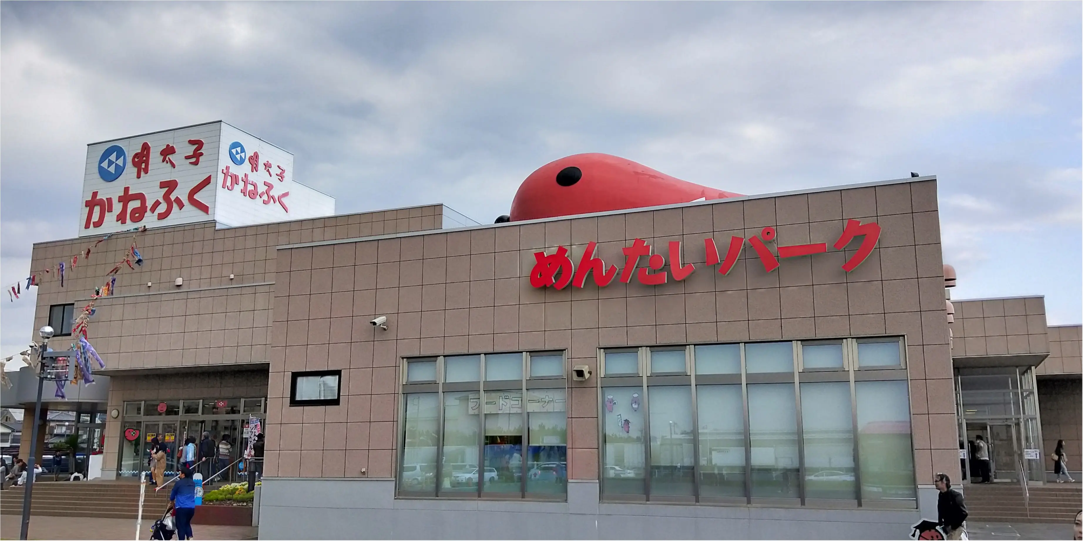 丘一面に広がる青い絨毯「ネモフィラ」観賞と新鮮な海鮮丼を食すバスツアー✨_4