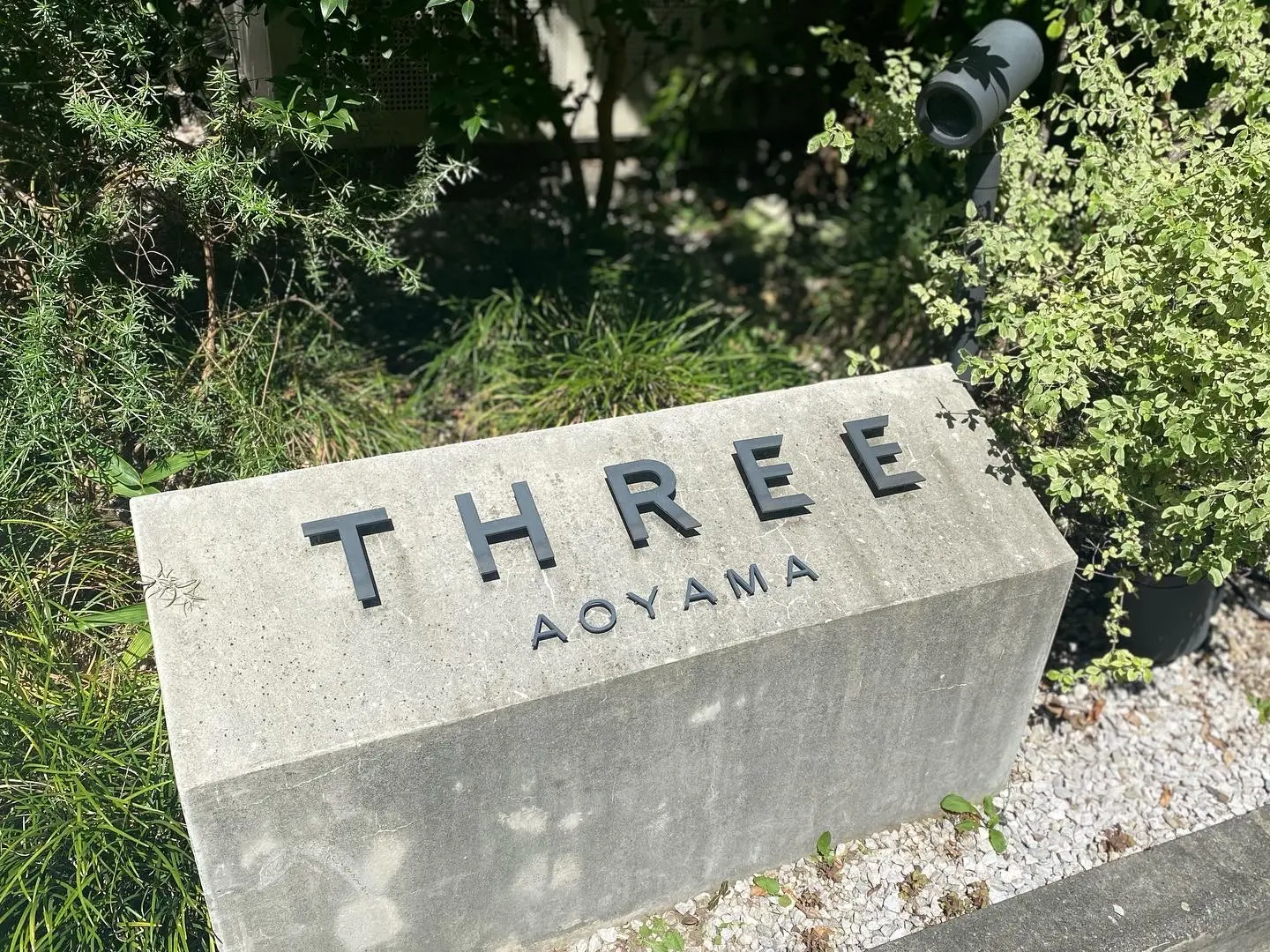 【青山】THREEのベジタリアンレストランでお洒落料理を堪能_9