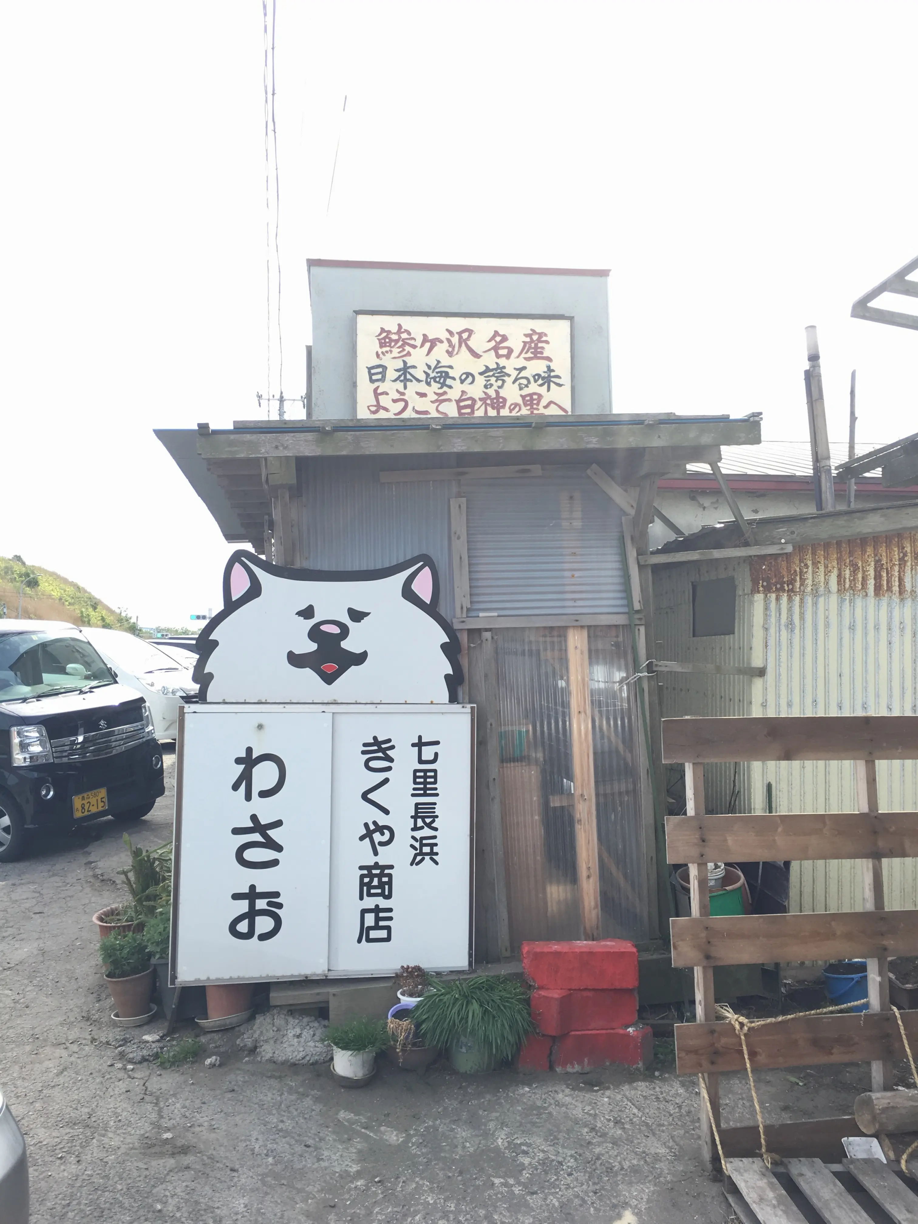 【ブサカワ犬わさお】に会える方法♡モアハピ◡̈のぞみ♡_3