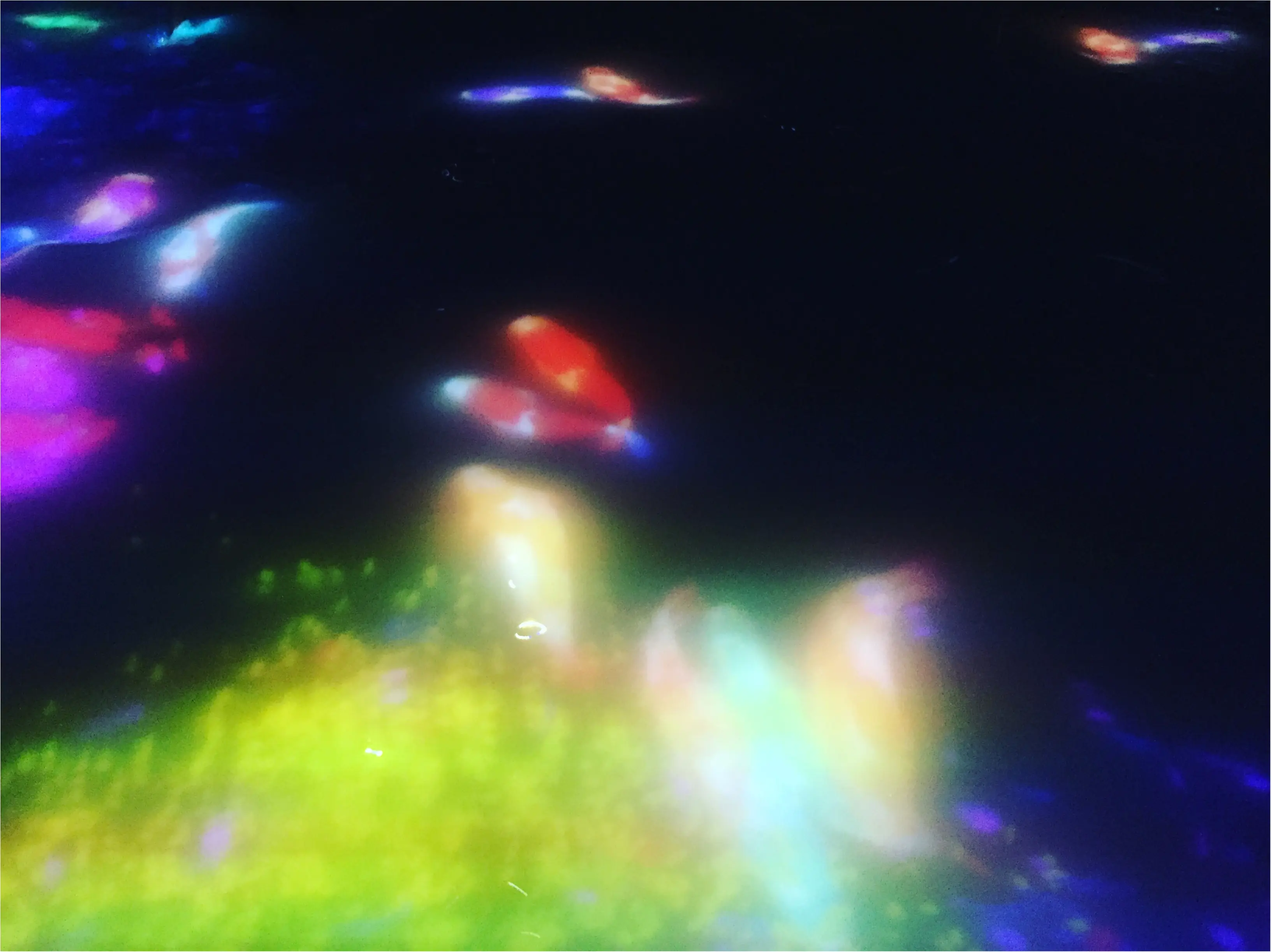 【夏のお出掛けスポット/DMM.プラネッツ Art by teamLab】水に浸かったり仰向けになったりして鑑賞する『デジタルアート』が幻想的✨8/31まで!お台場に急げ♩≪samenyan≫_14