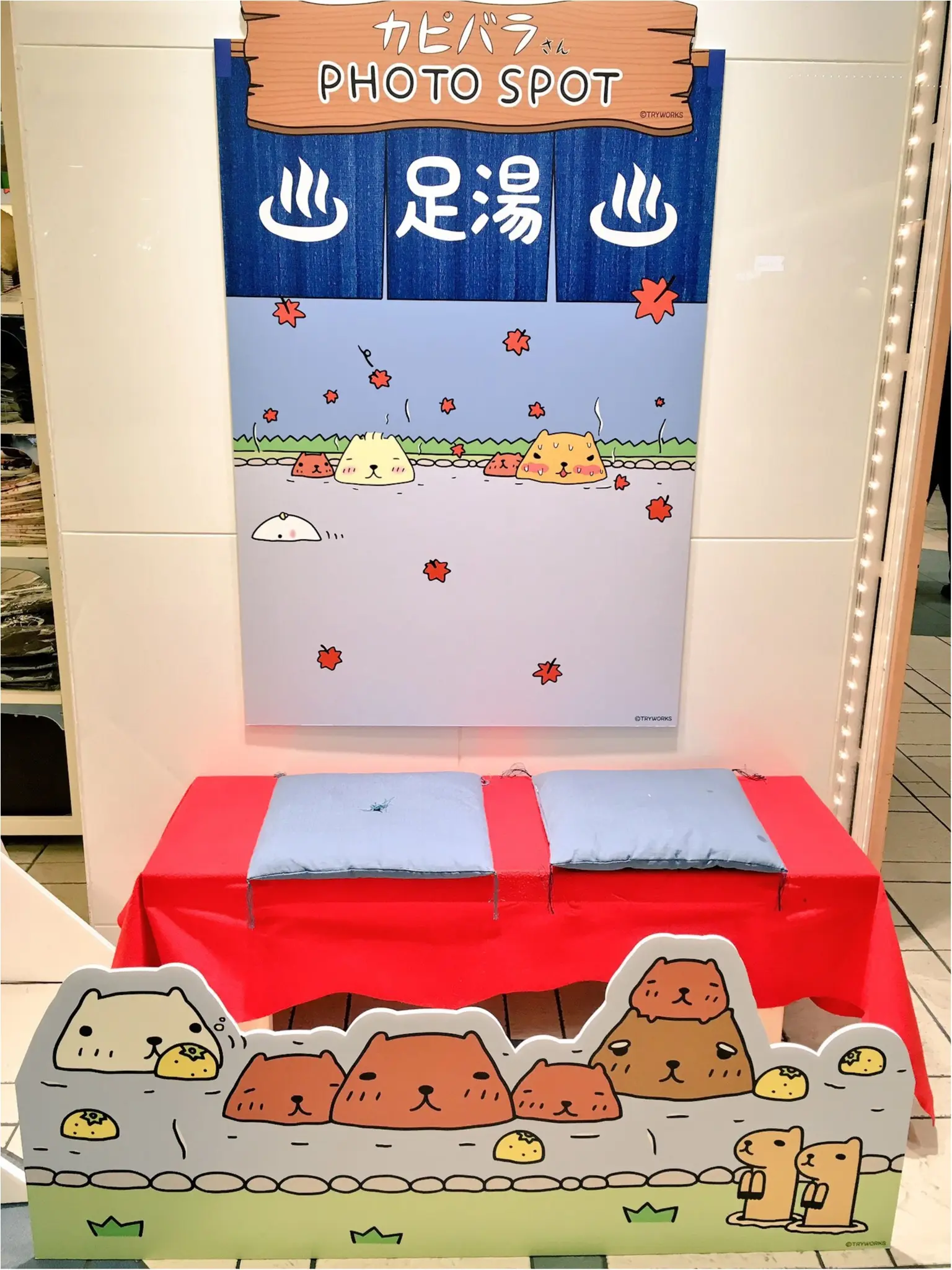 『カピバラさん×東京駅』作者チダケイコ先生サイン会&Calbeeプラスに行ってきました(*´ ˘ `*)♡_3