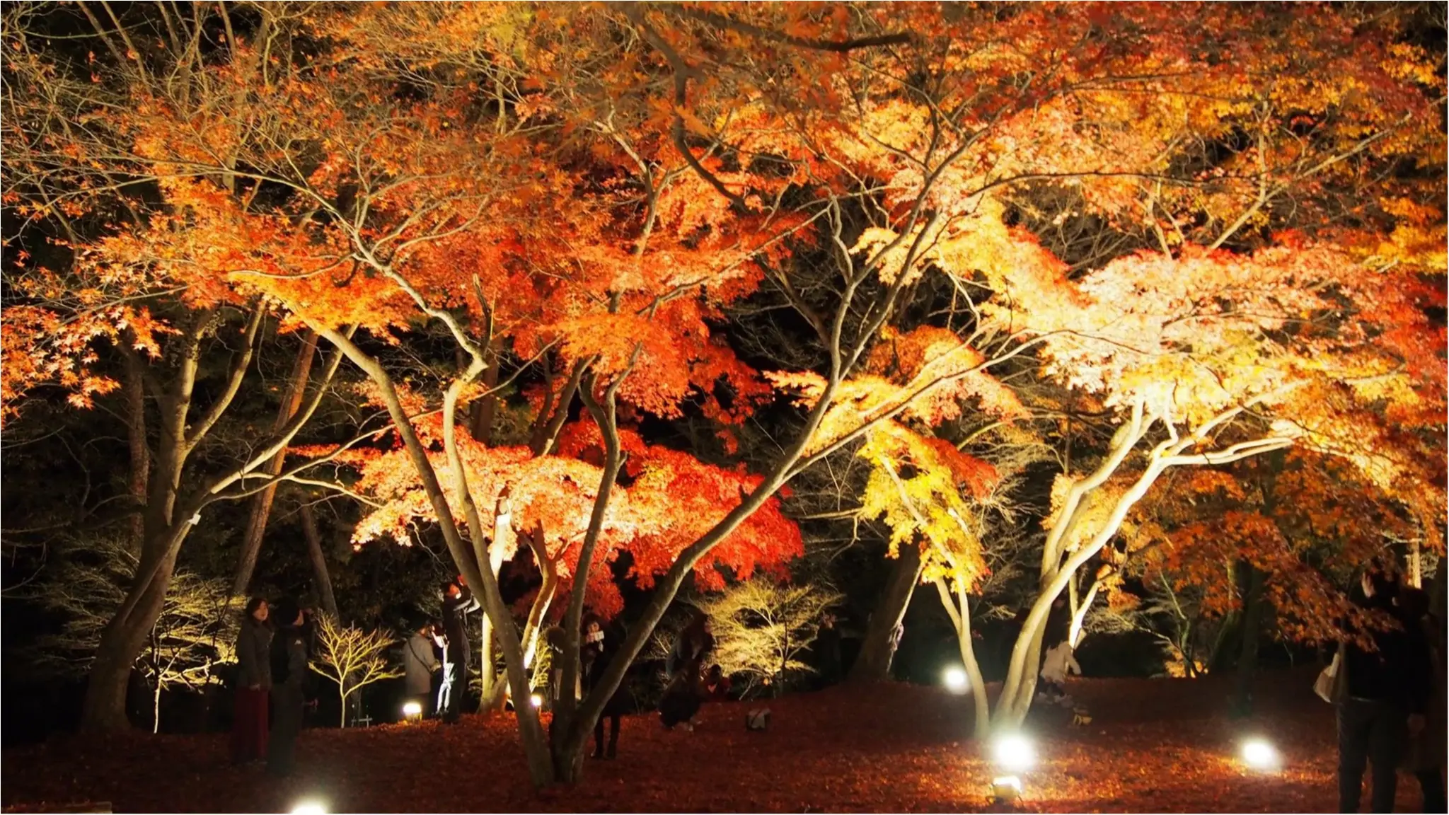 紅葉を満喫♩都心から二時間のとっておきの癒しスポット・秩父長瀞へ!_10