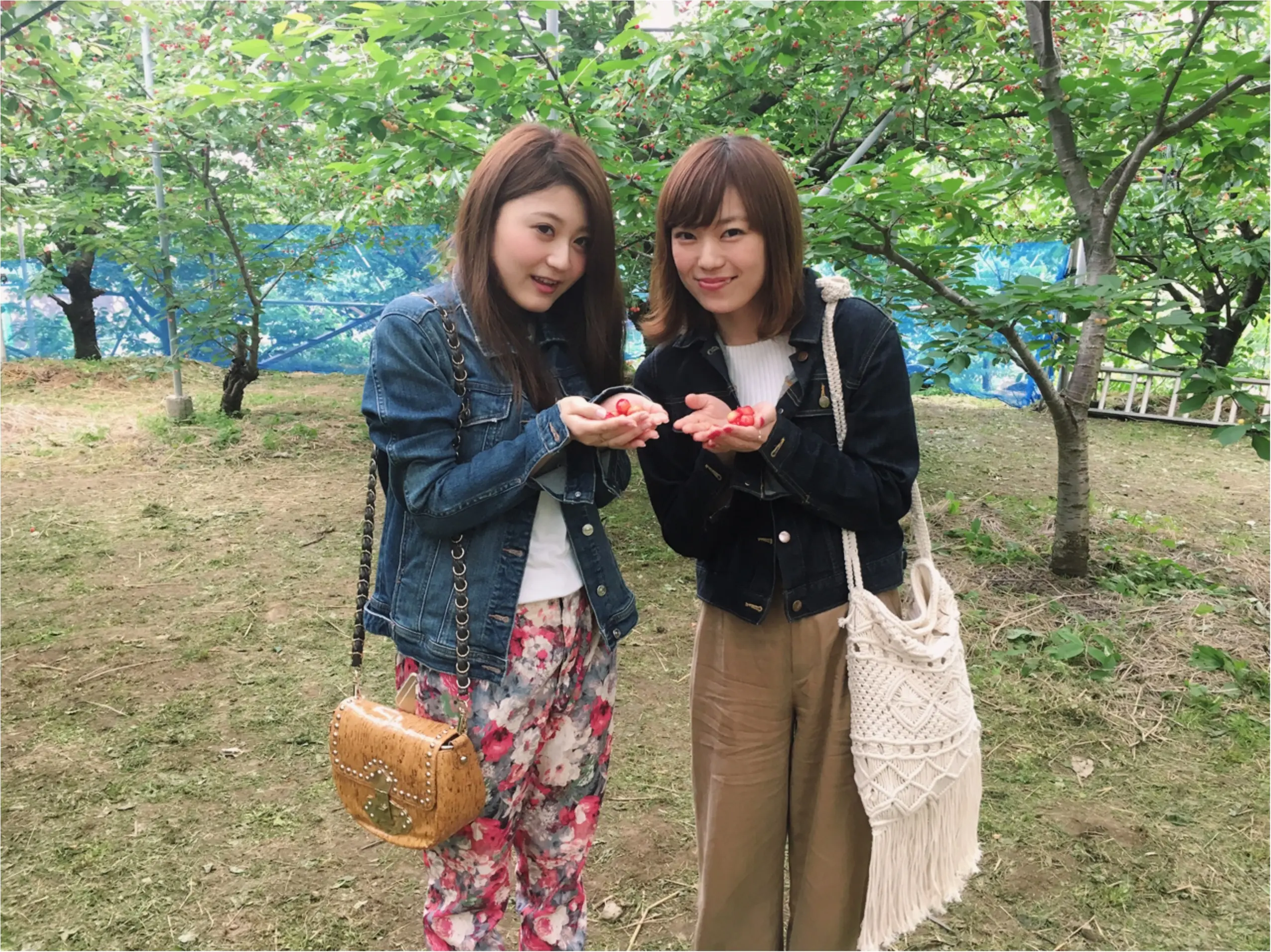 ★バスツアーでさくらんぼ狩りin山梨♩_7