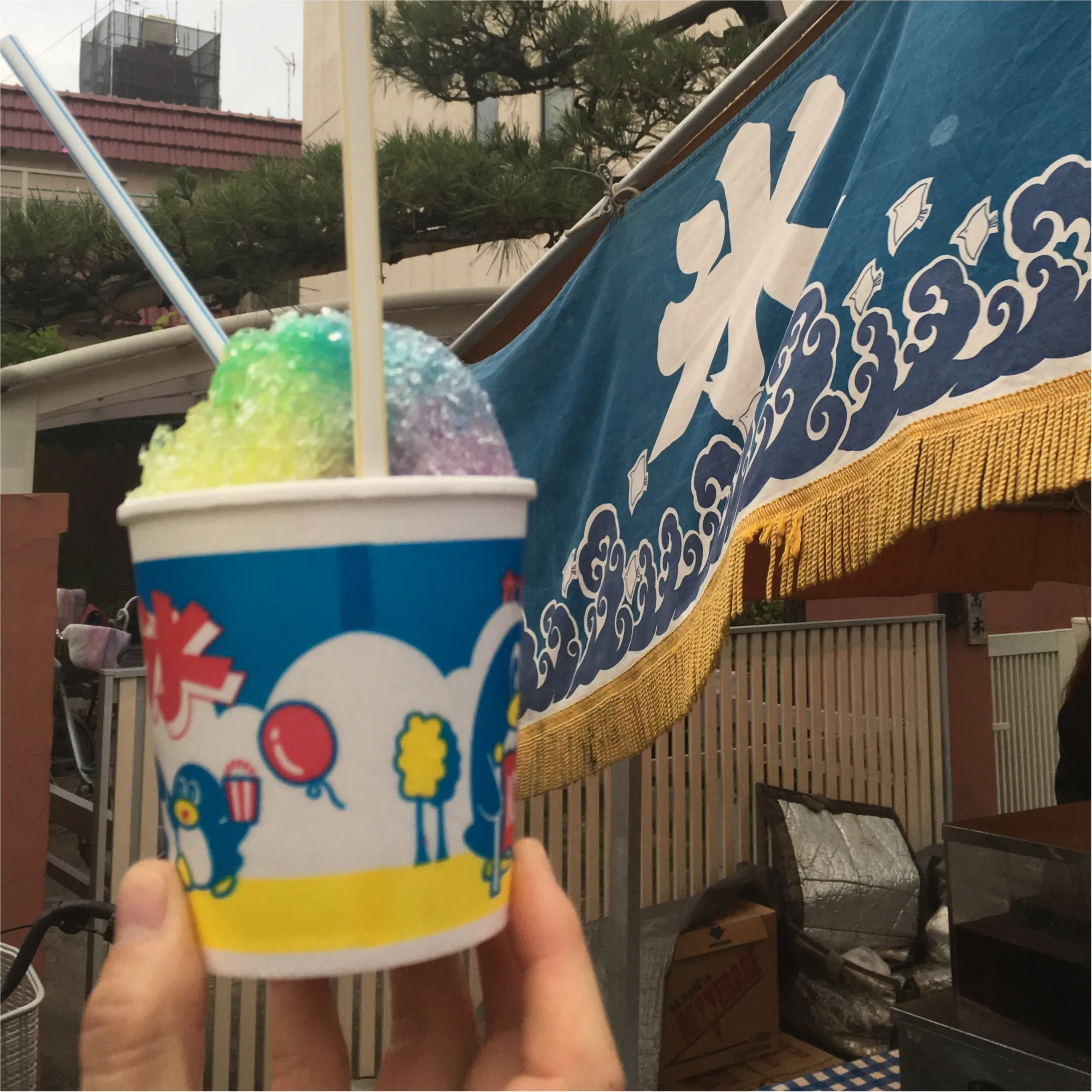 13000発!!葛飾納涼花火大会の楽しみ方♪~東京の下町葛飾柴又~_3