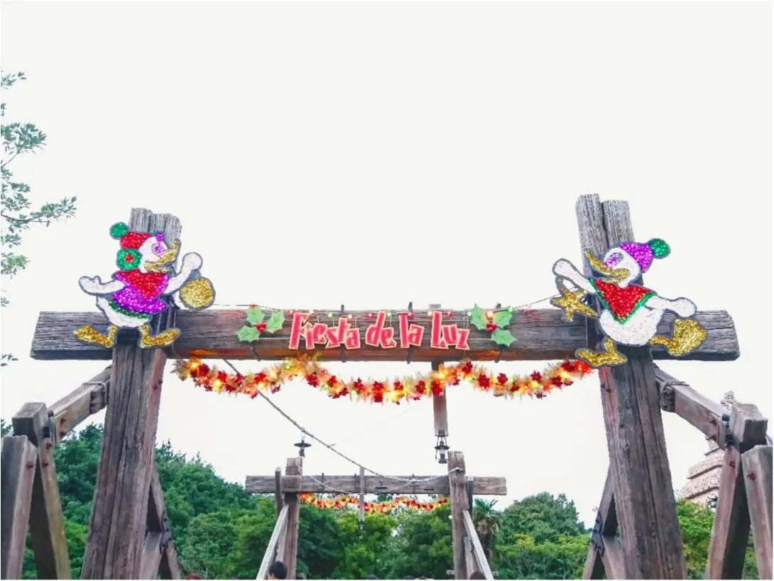 【イベント】11月8日(水)から スタート!東京ディズニーシー『クリスマス・ウィッシュ』に行ってきました *.゜_6