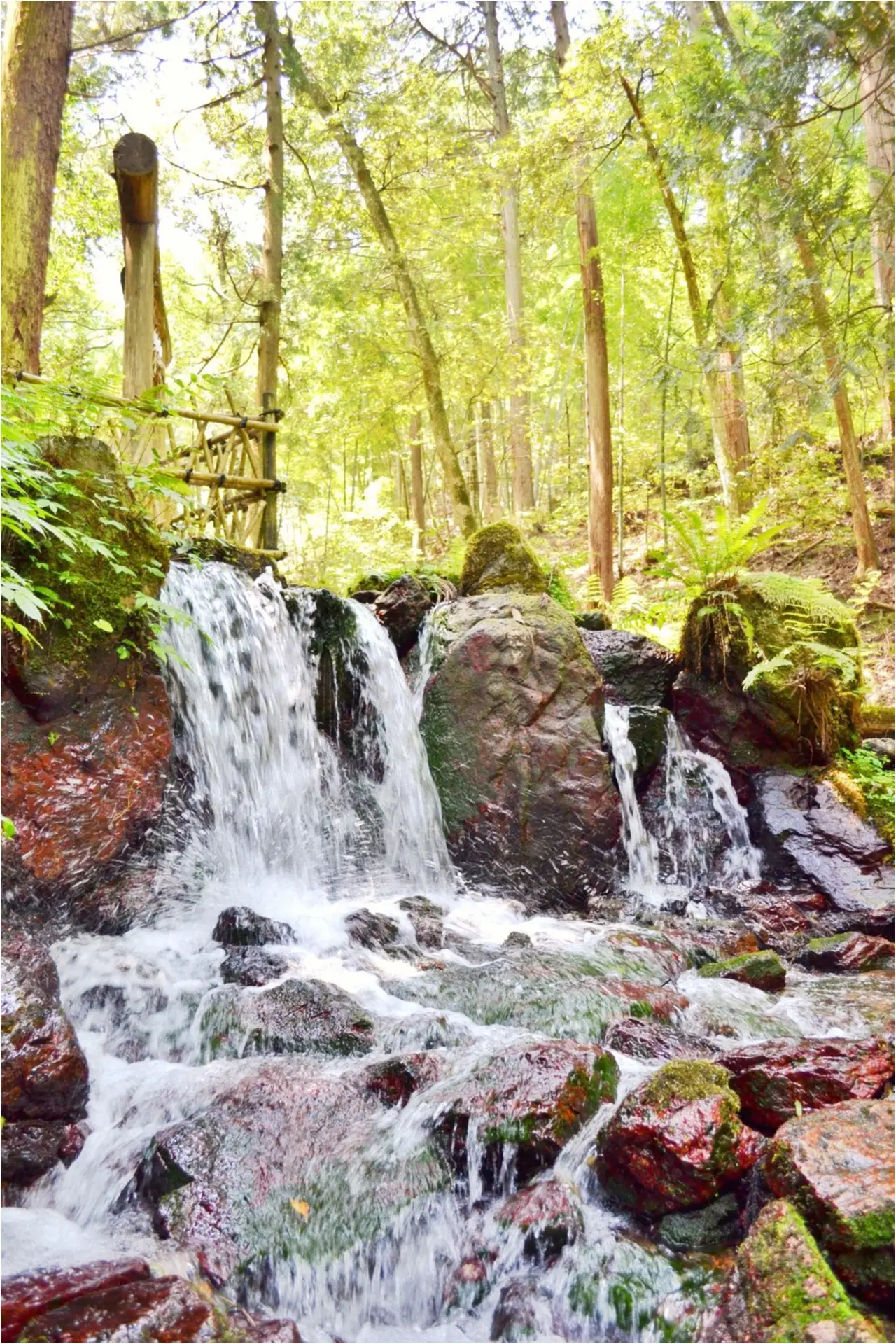 後編♡ 次の週末にオススメしたい!福井の魅力ー美しすぎる5つの絶景_10