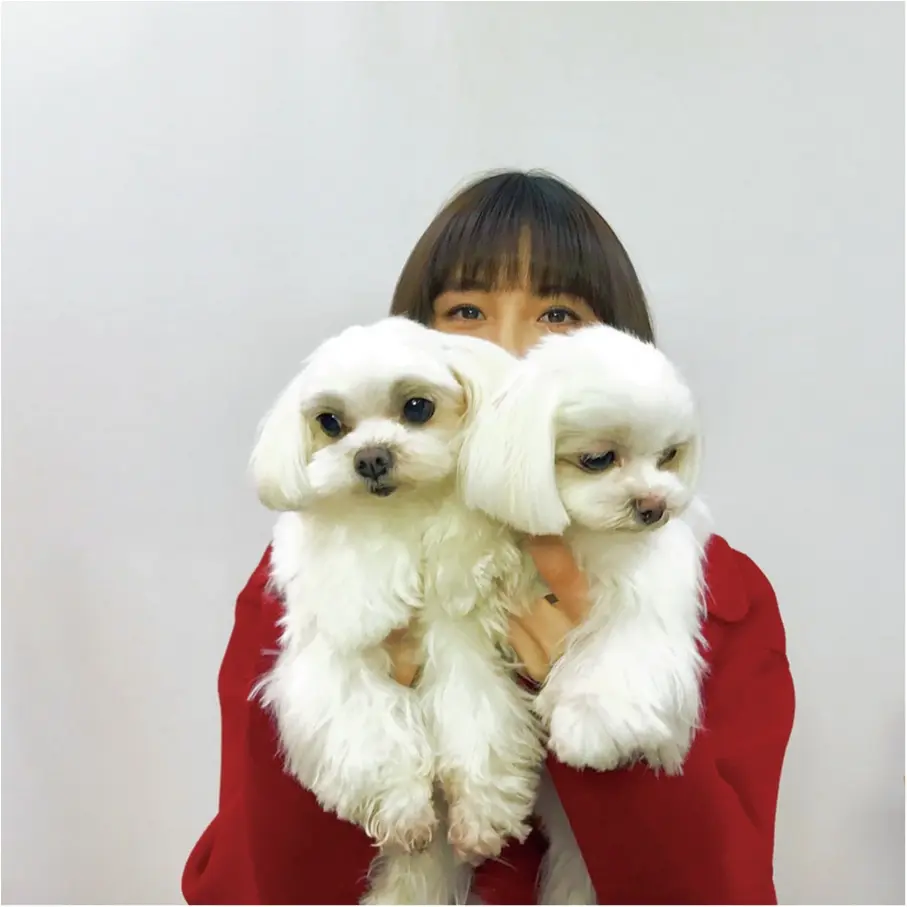 【お疲れの時のリフレッシュ方法は?】篠田麻里子ちゃんは、愛犬たちと遊ぶこと!_1