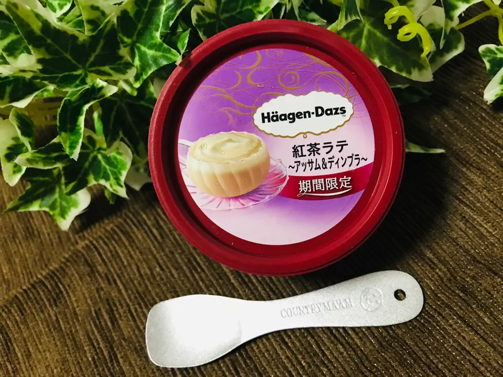 【ハーゲンダッツ新作】史上最高に美味しいと絶賛の嵐!《紅茶ラテ》が超絶美味♡_1