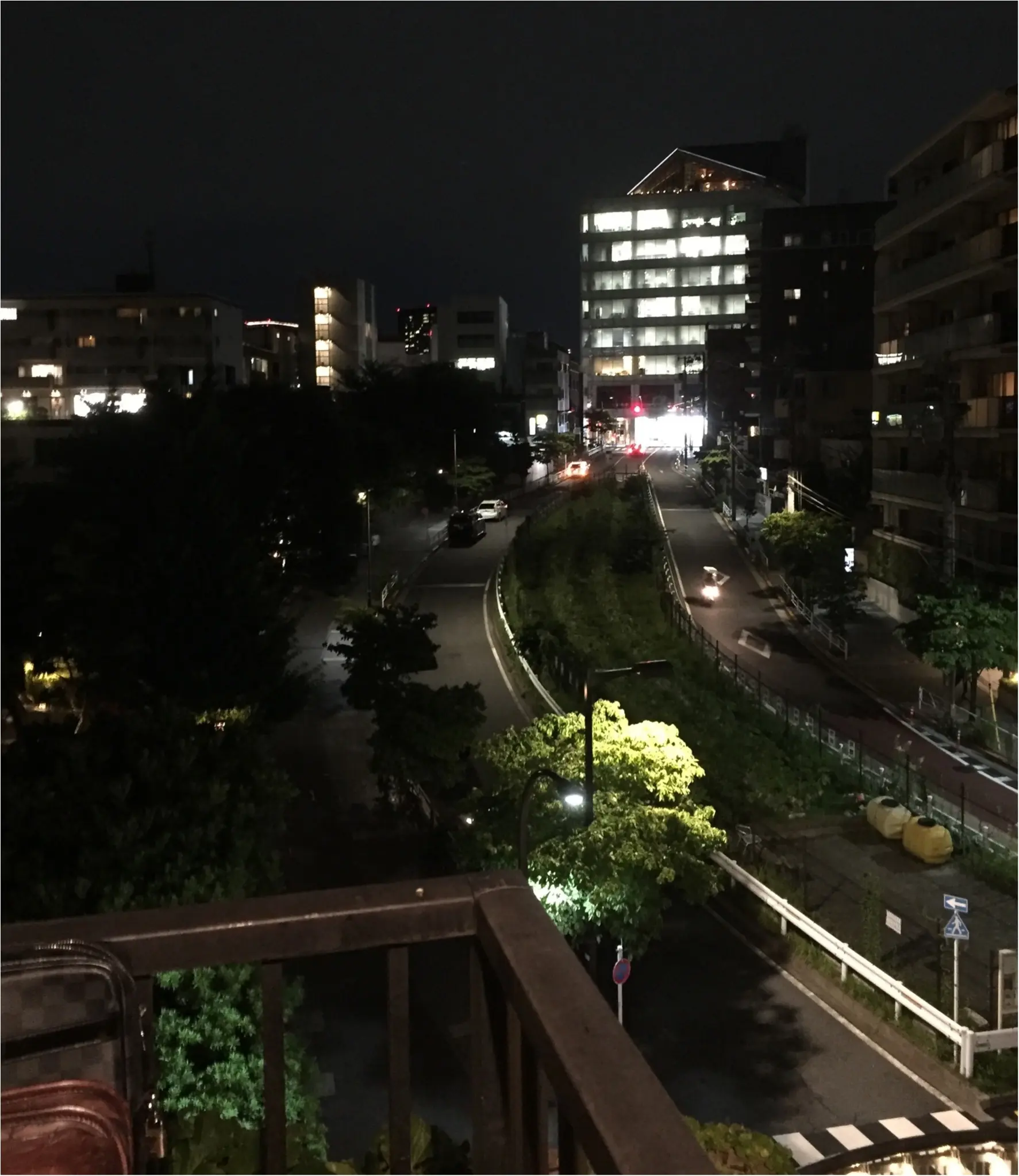 彦星現れず!!【平成最後の夏もジューンブライドの夢破れてキラキラ代官山BBQ】_2