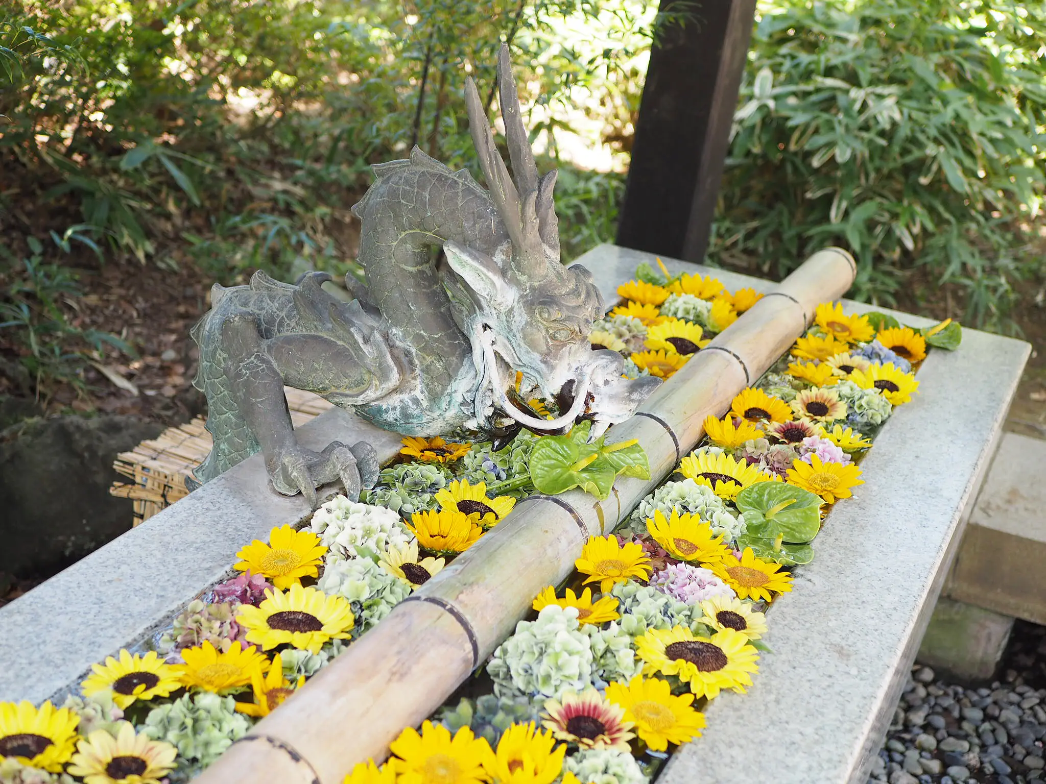 【スタバ×植物園?!】噂のスポット「HANA・BIYORI」徹底レポ!♡ 〜見どころ編〜_4