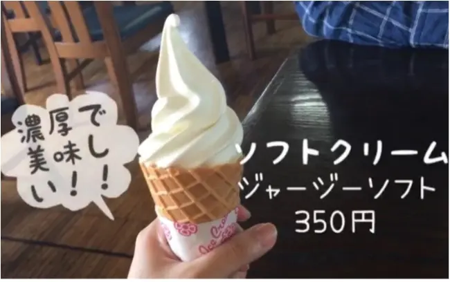【初動画で紹介!】まるでジブリの世界!晴れた『阿蘇』の絶景を観てください!【#モアチャレ 熊本の魅力発信!】 _4
