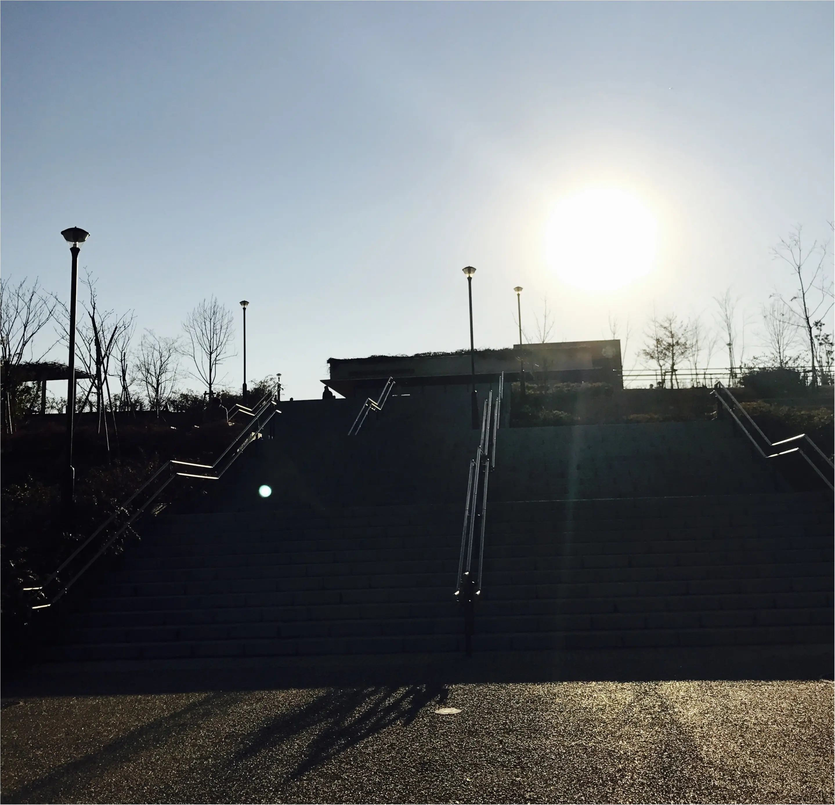 私がおすすめする大人の上京で住む街なら、二子玉川!その魅力を紹介します!_5