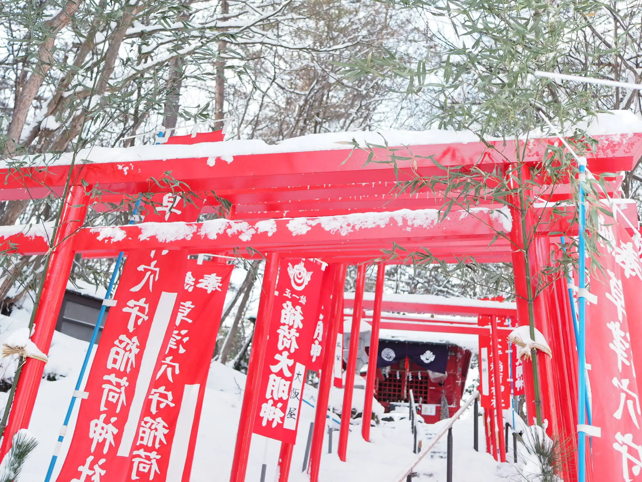 【草津温泉】湯もみショーと温泉が湧き出る西の河原公園♡_5